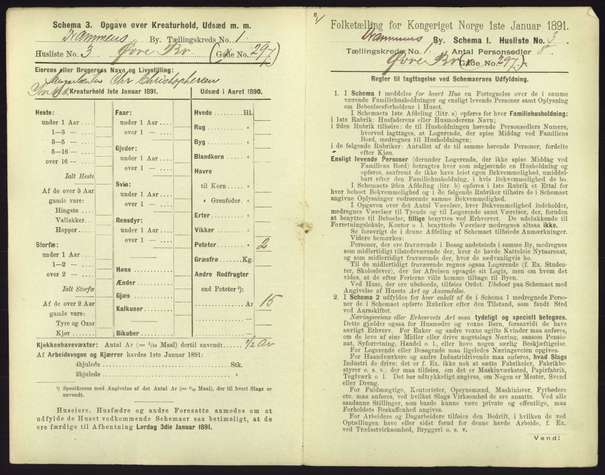 RA, 1891 census for 0602 Drammen, 1891, p. 101