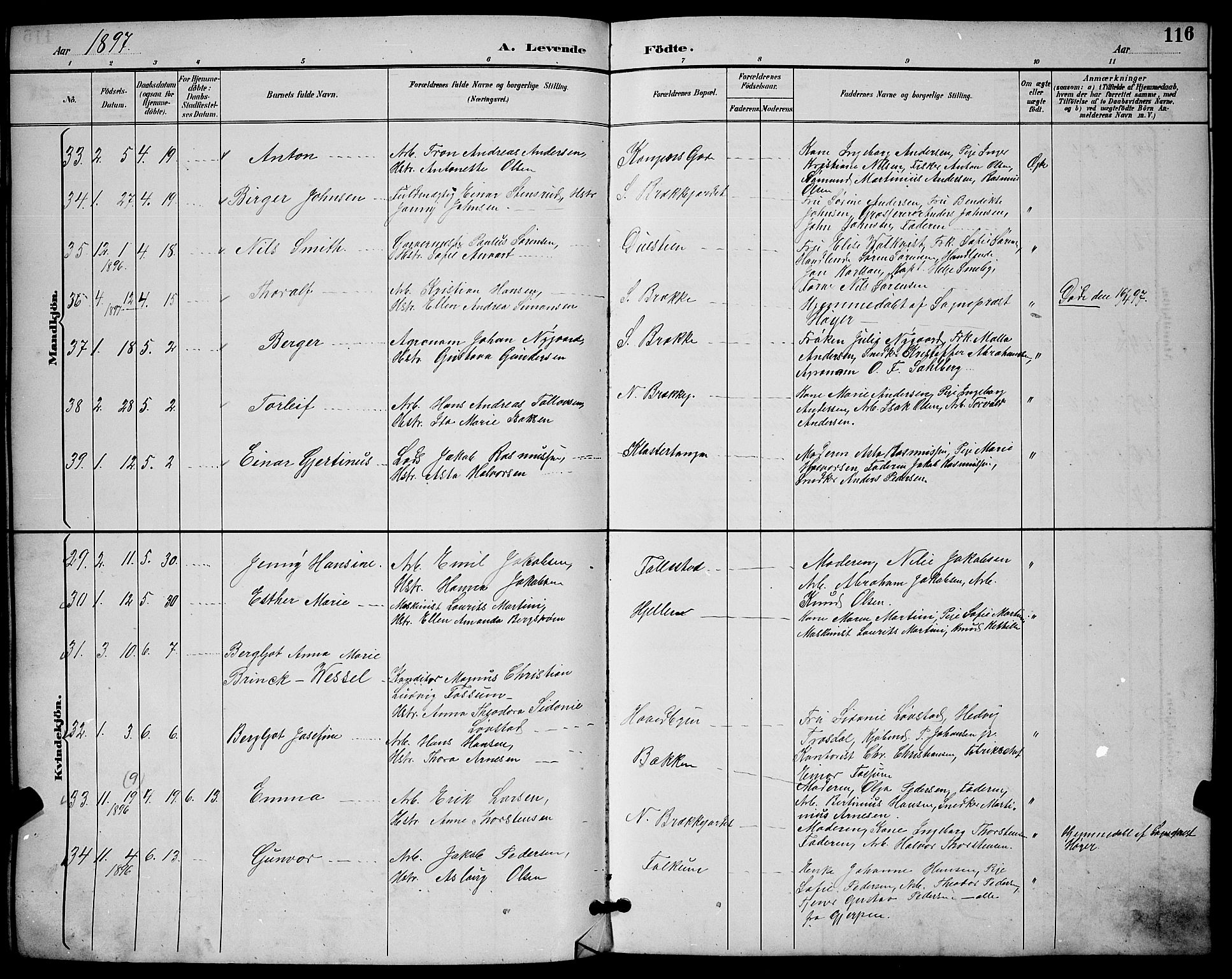Skien kirkebøker, AV/SAKO-A-302/G/Ga/L0007: Parish register (copy) no. 7, 1891-1900, p. 116
