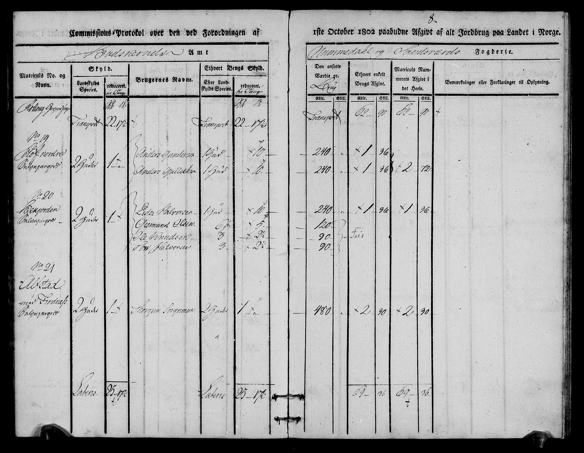 Rentekammeret inntil 1814, Realistisk ordnet avdeling, AV/RA-EA-4070/N/Ne/Nea/L0056a: Numedal og Sandsvær fogderi. Kommisjonsprotokoll for Rollag hovedsogn og Veggli anneks, 1803, p. 8