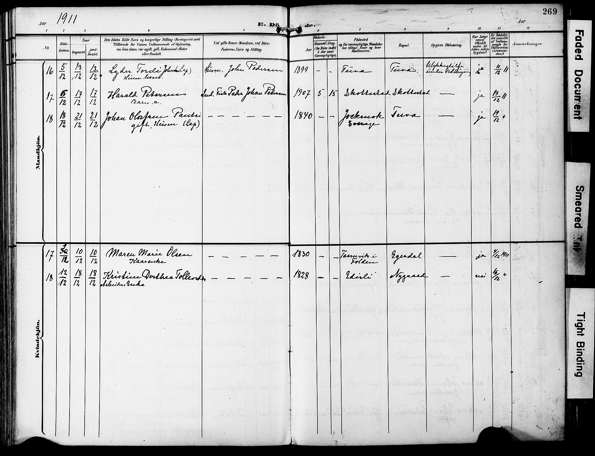 Ministerialprotokoller, klokkerbøker og fødselsregistre - Nordland, SAT/A-1459/859/L0848: Parish register (official) no. 859A08, 1900-1912, p. 269