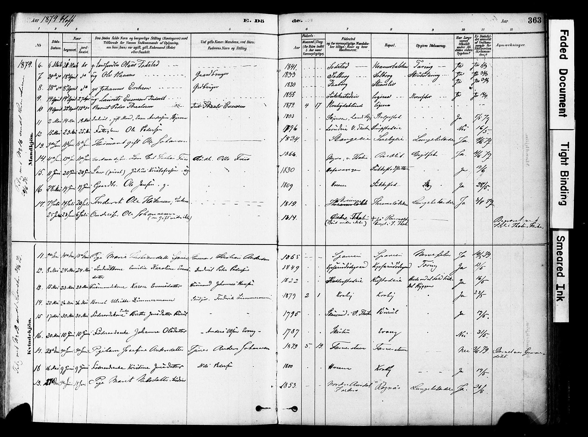 Østre Toten prestekontor, AV/SAH-PREST-104/H/Ha/Haa/L0006: Parish register (official) no. 6 /1, 1878-1896, p. 363