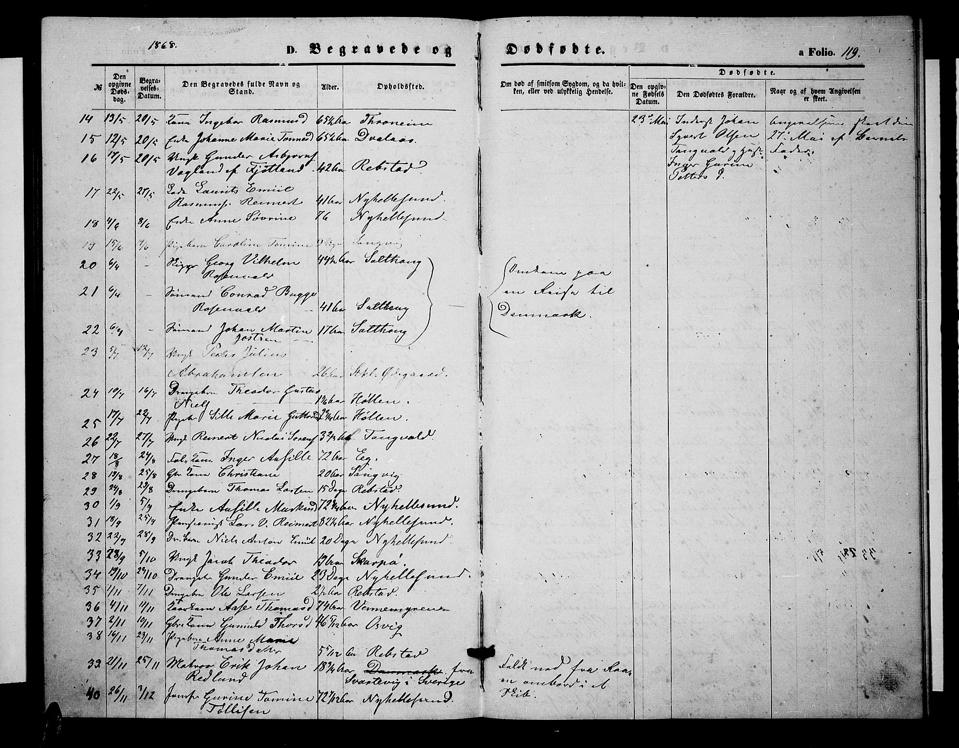 Søgne sokneprestkontor, SAK/1111-0037/F/Fb/Fbb/L0004: Parish register (copy) no. B 4, 1864-1883, p. 119
