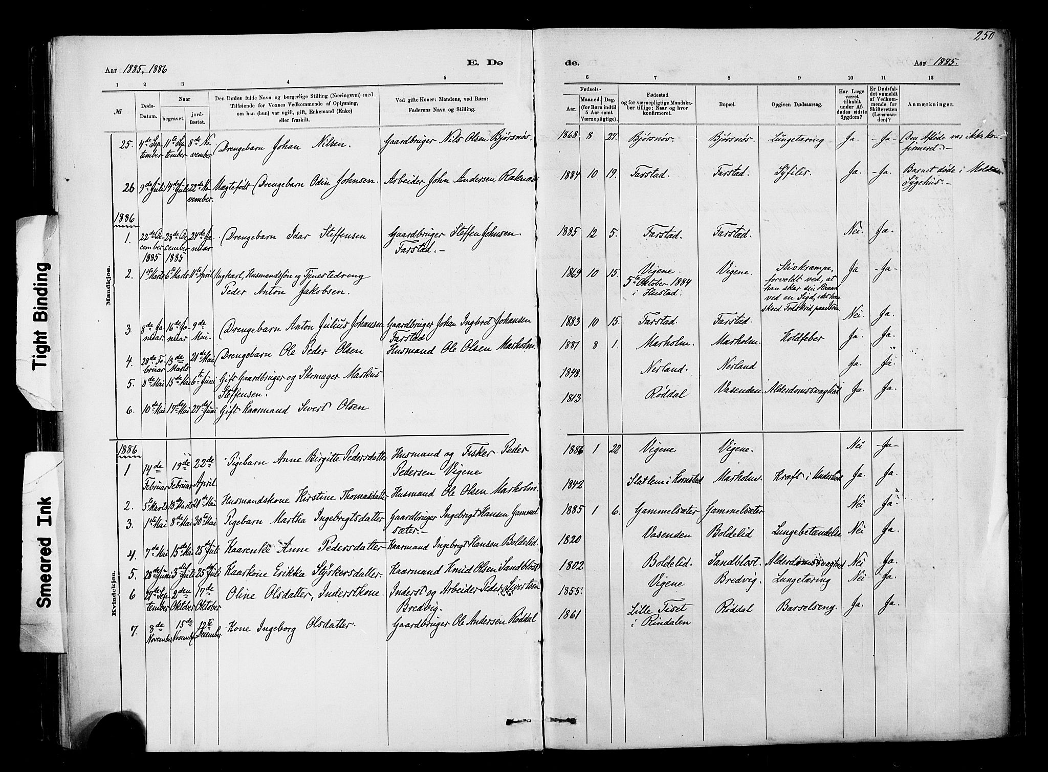 Ministerialprotokoller, klokkerbøker og fødselsregistre - Møre og Romsdal, AV/SAT-A-1454/567/L0778: Parish register (official) no. 567A01, 1881-1903, p. 250