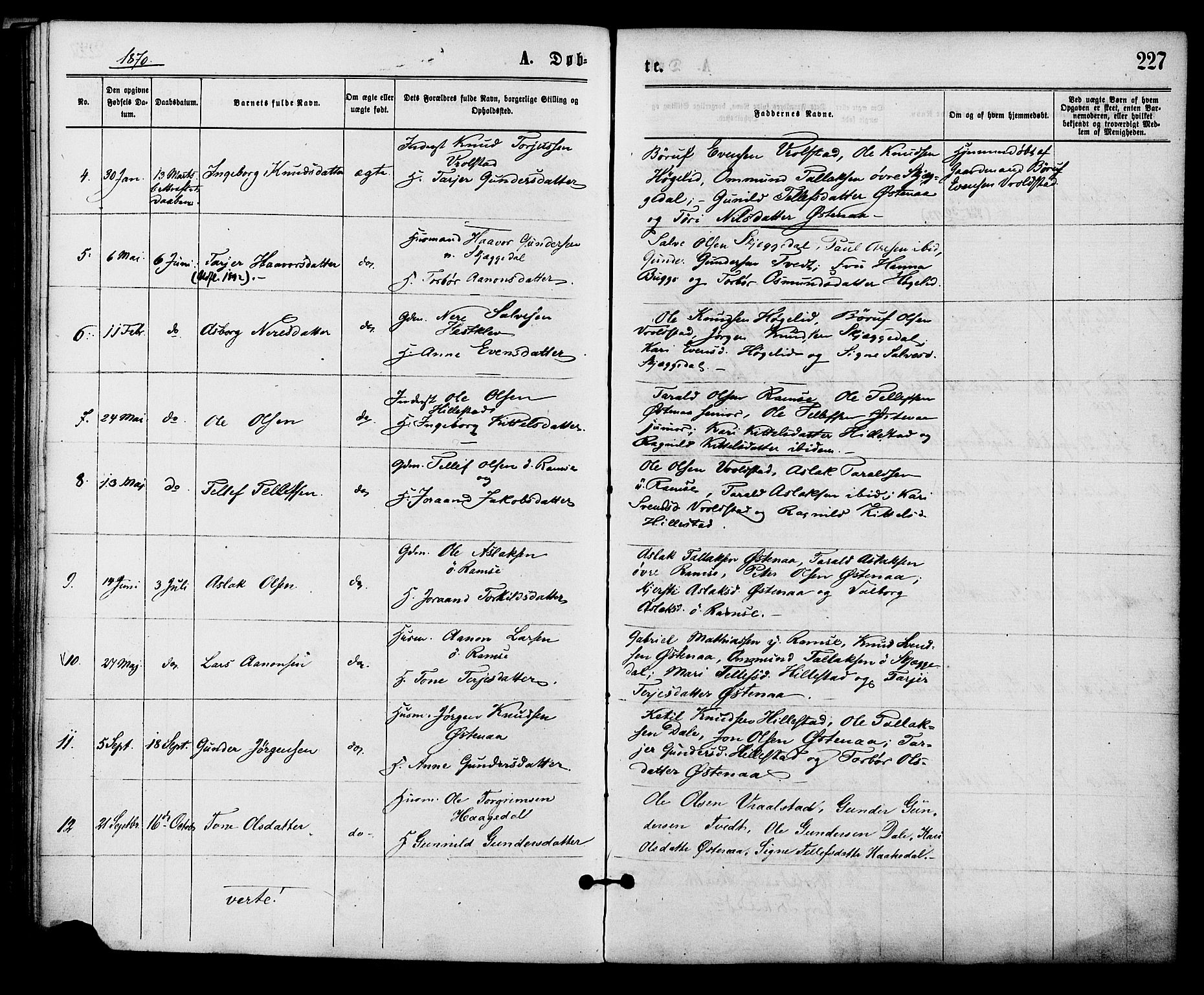Åmli sokneprestkontor, SAK/1111-0050/F/Fa/Fac/L0009: Parish register (official) no. A 9 /3, 1869-1884, p. 227