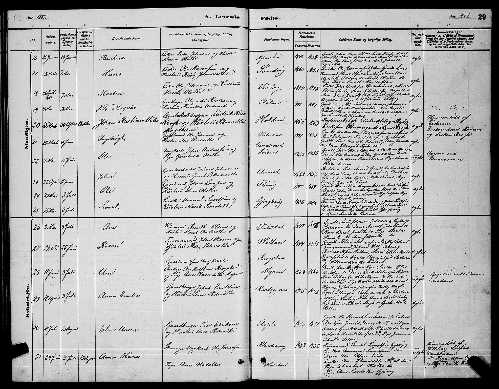 Ministerialprotokoller, klokkerbøker og fødselsregistre - Sør-Trøndelag, AV/SAT-A-1456/630/L0504: Parish register (copy) no. 630C02, 1879-1898, p. 29