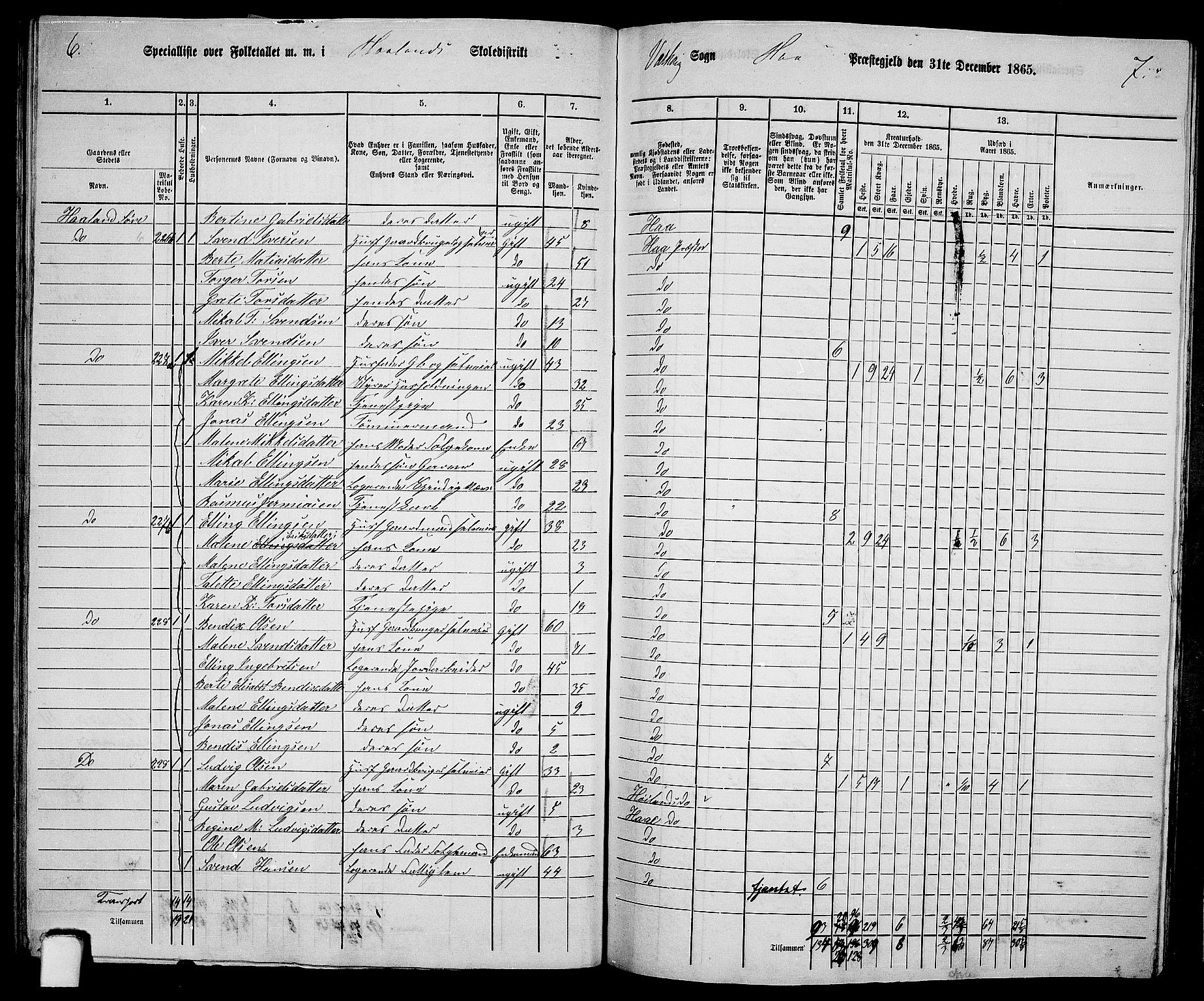 RA, 1865 census for Hå, 1865, p. 96