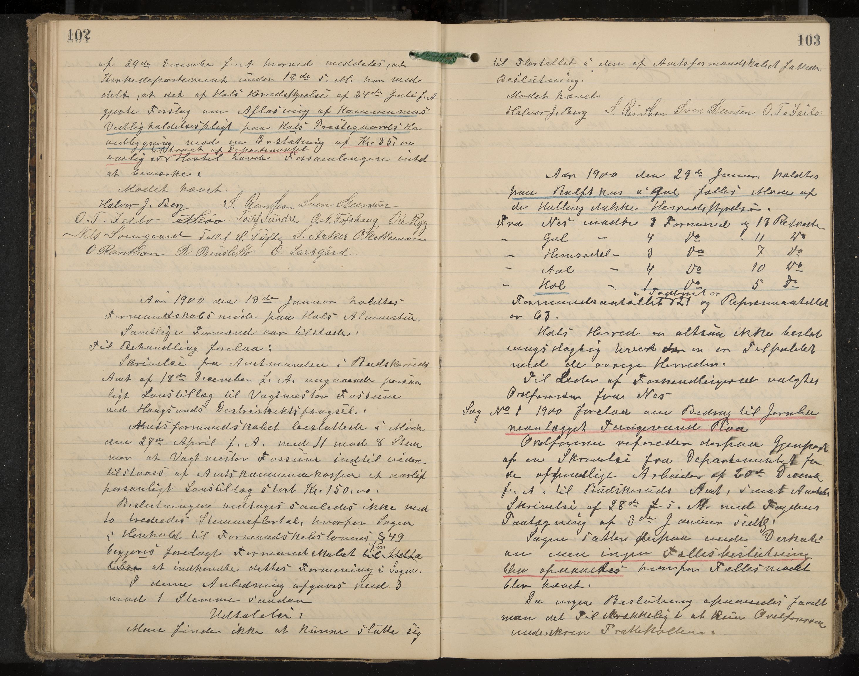 Hol formannskap og sentraladministrasjon, IKAK/0620021-1/A/L0003: Møtebok, 1897-1904, p. 102-103