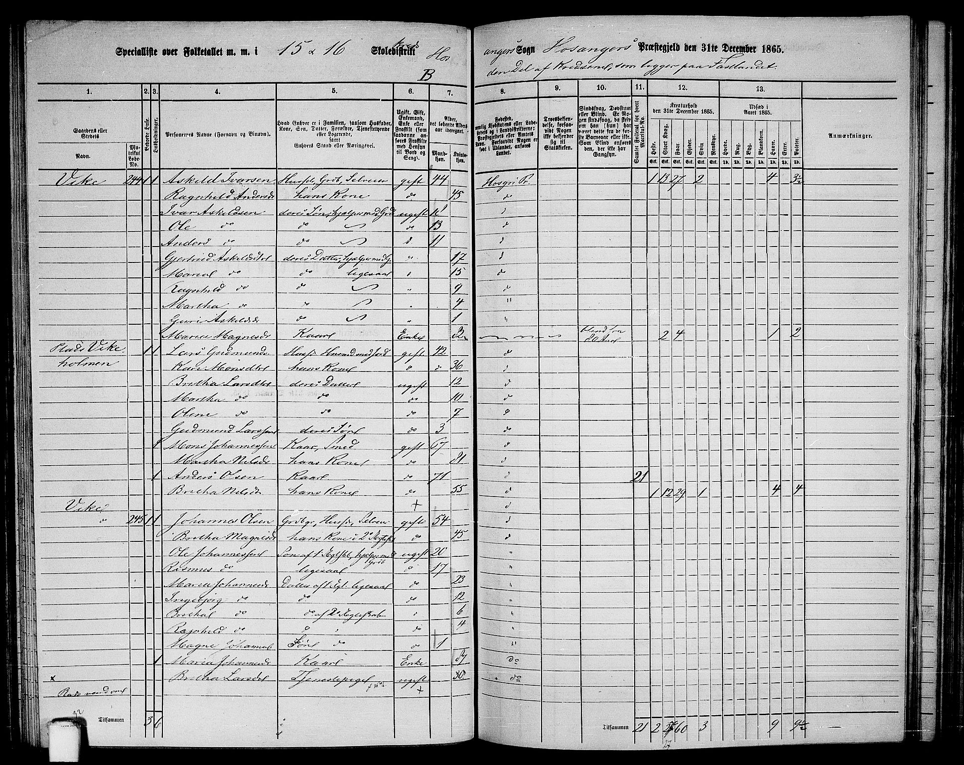 RA, 1865 census for Hosanger, 1865, p. 99