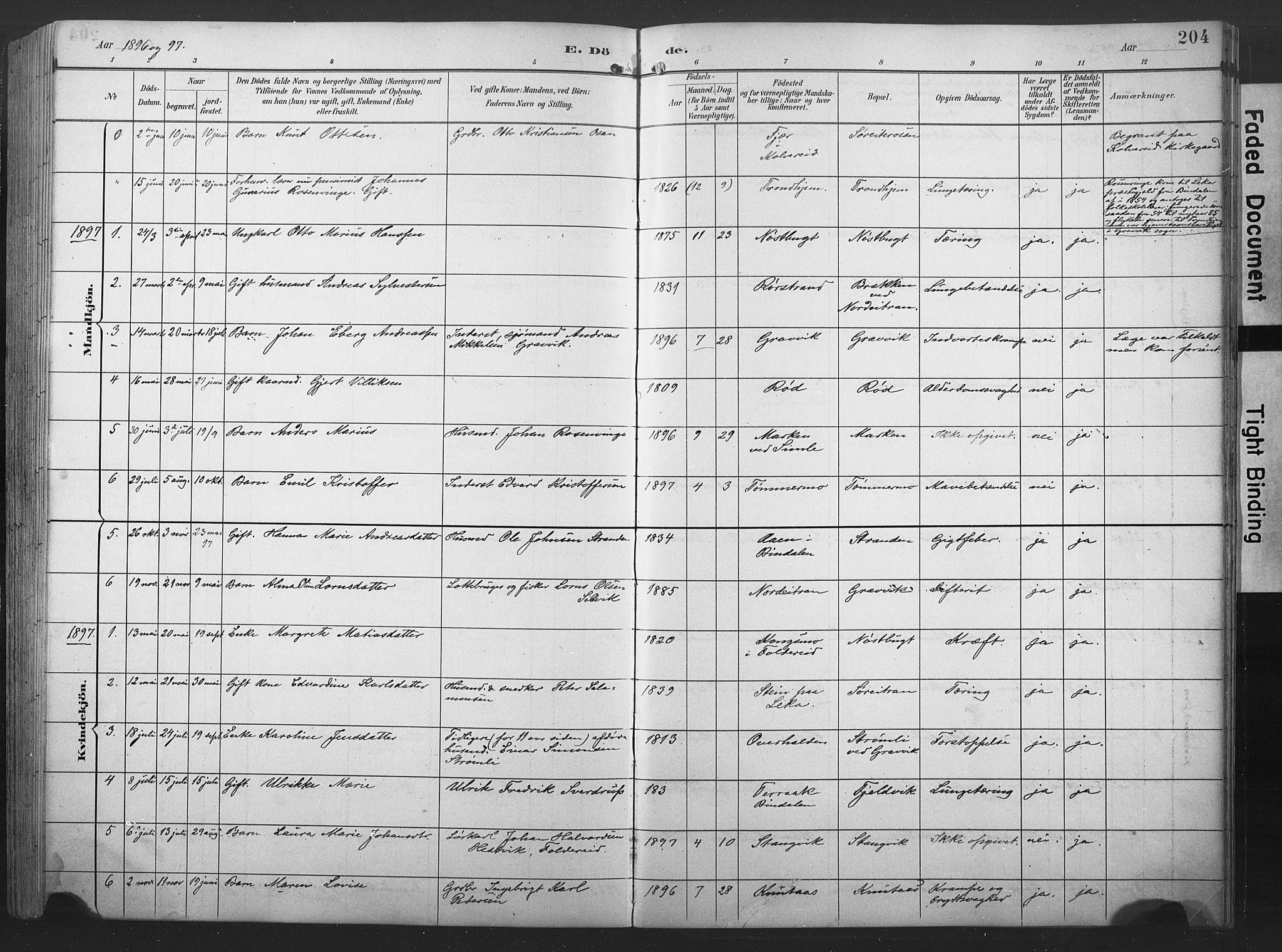 Ministerialprotokoller, klokkerbøker og fødselsregistre - Nord-Trøndelag, SAT/A-1458/789/L0706: Parish register (copy) no. 789C01, 1888-1931, p. 204