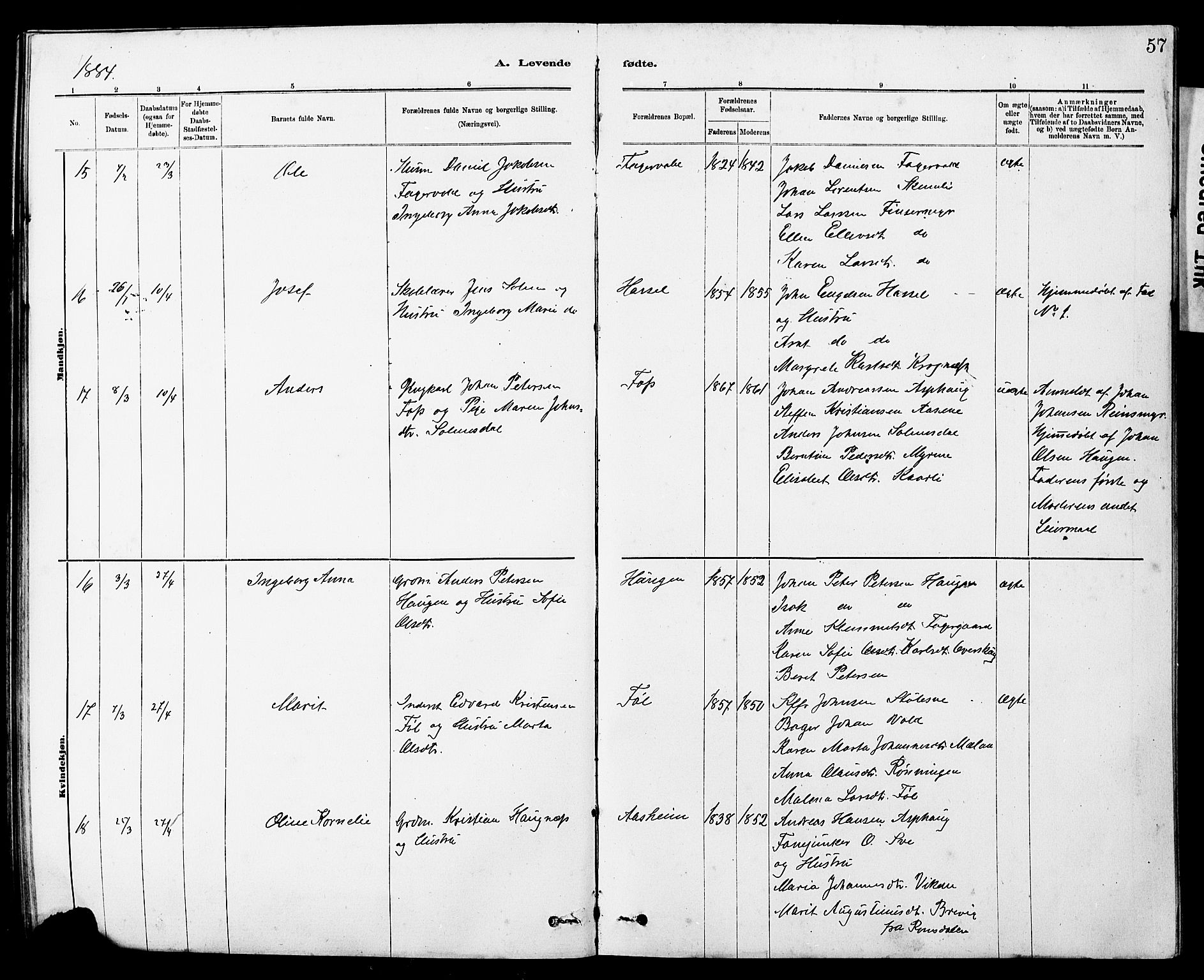 Ministerialprotokoller, klokkerbøker og fødselsregistre - Sør-Trøndelag, AV/SAT-A-1456/647/L0636: Parish register (copy) no. 647C01, 1881-1884, p. 57