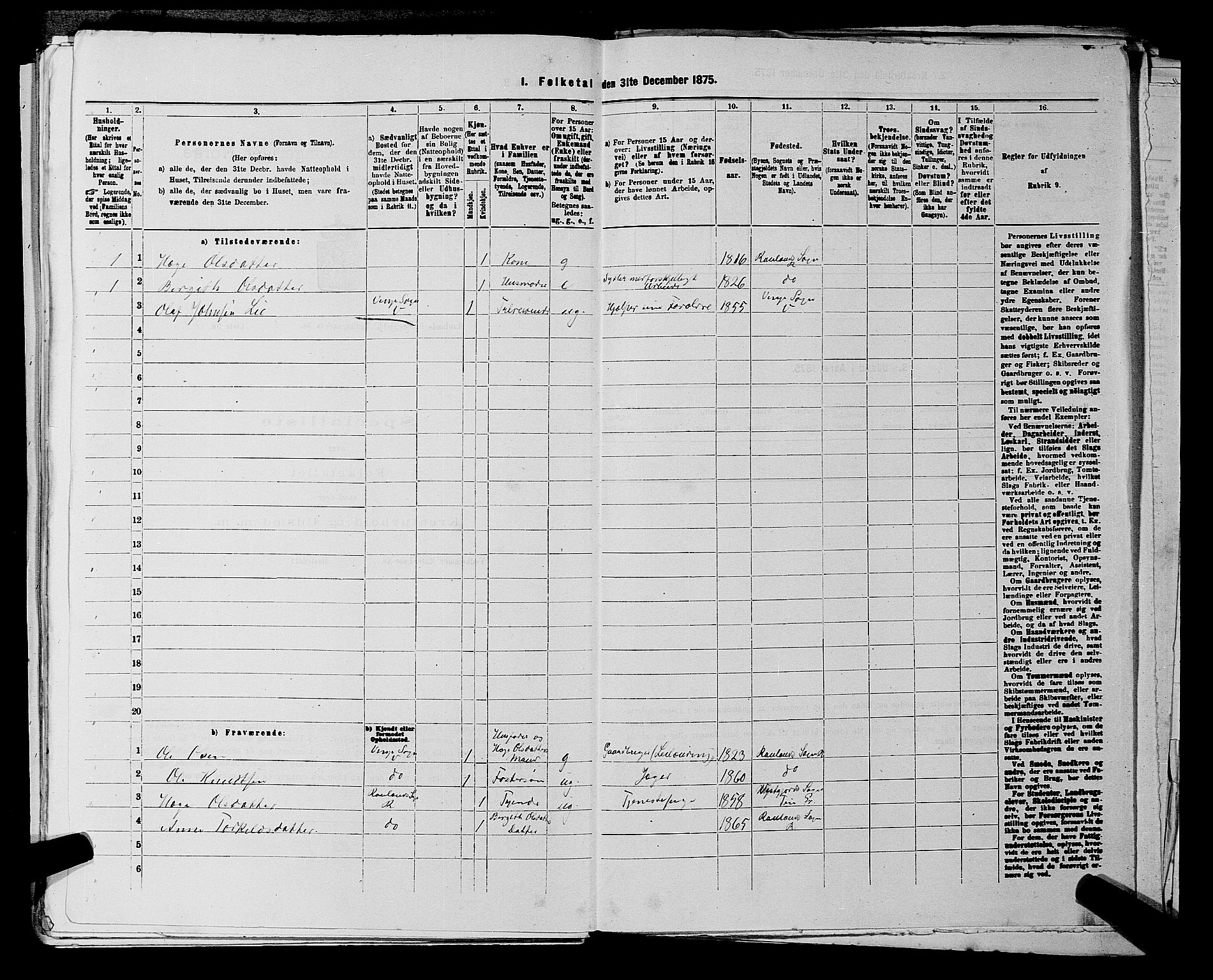 SAKO, 1875 census for 0835P Rauland, 1875, p. 222