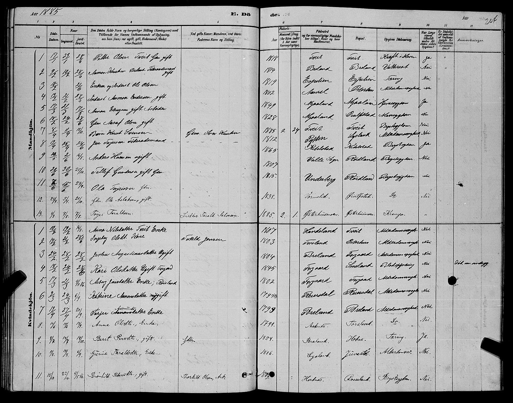 Åseral sokneprestkontor, AV/SAK-1111-0051/F/Fb/L0002: Parish register (copy) no. B 2, 1878-1899, p. 204