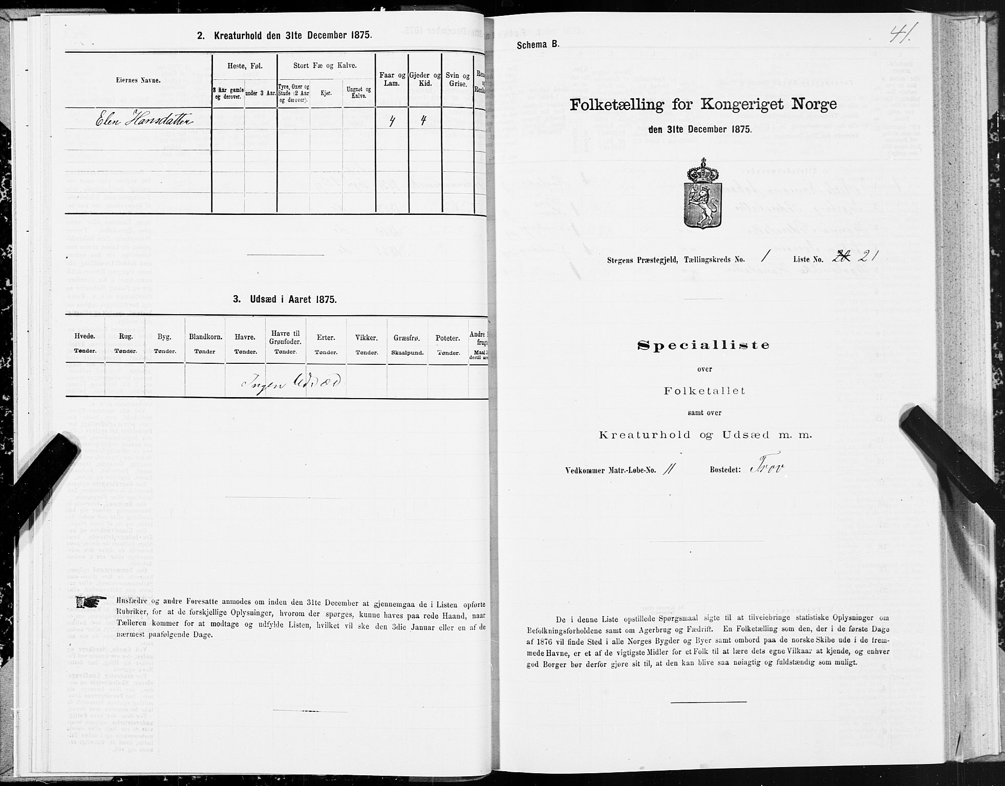 SAT, 1875 census for 1848P Steigen, 1875, p. 1041