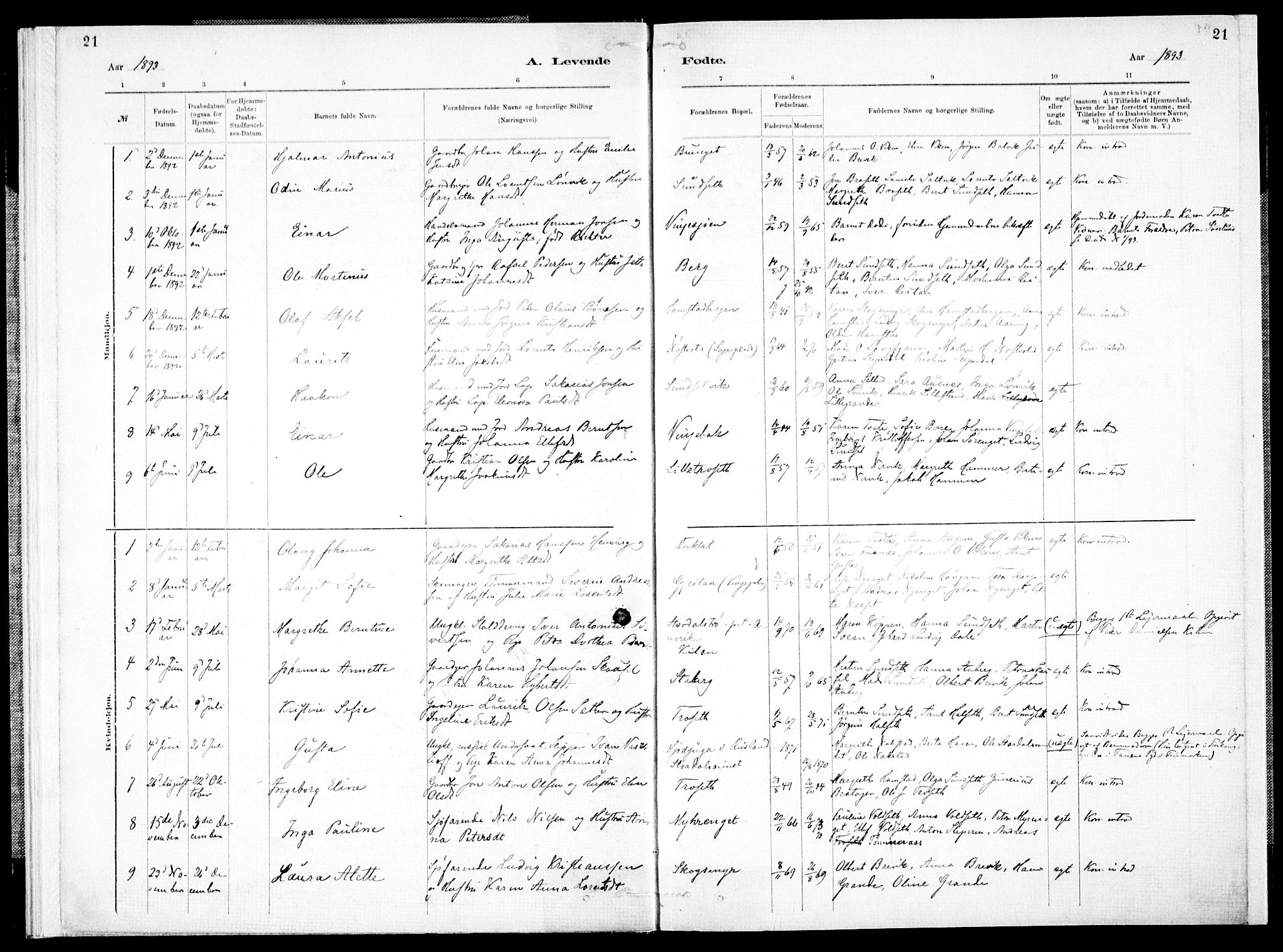 Ministerialprotokoller, klokkerbøker og fødselsregistre - Nord-Trøndelag, SAT/A-1458/733/L0325: Parish register (official) no. 733A04, 1884-1908, p. 21