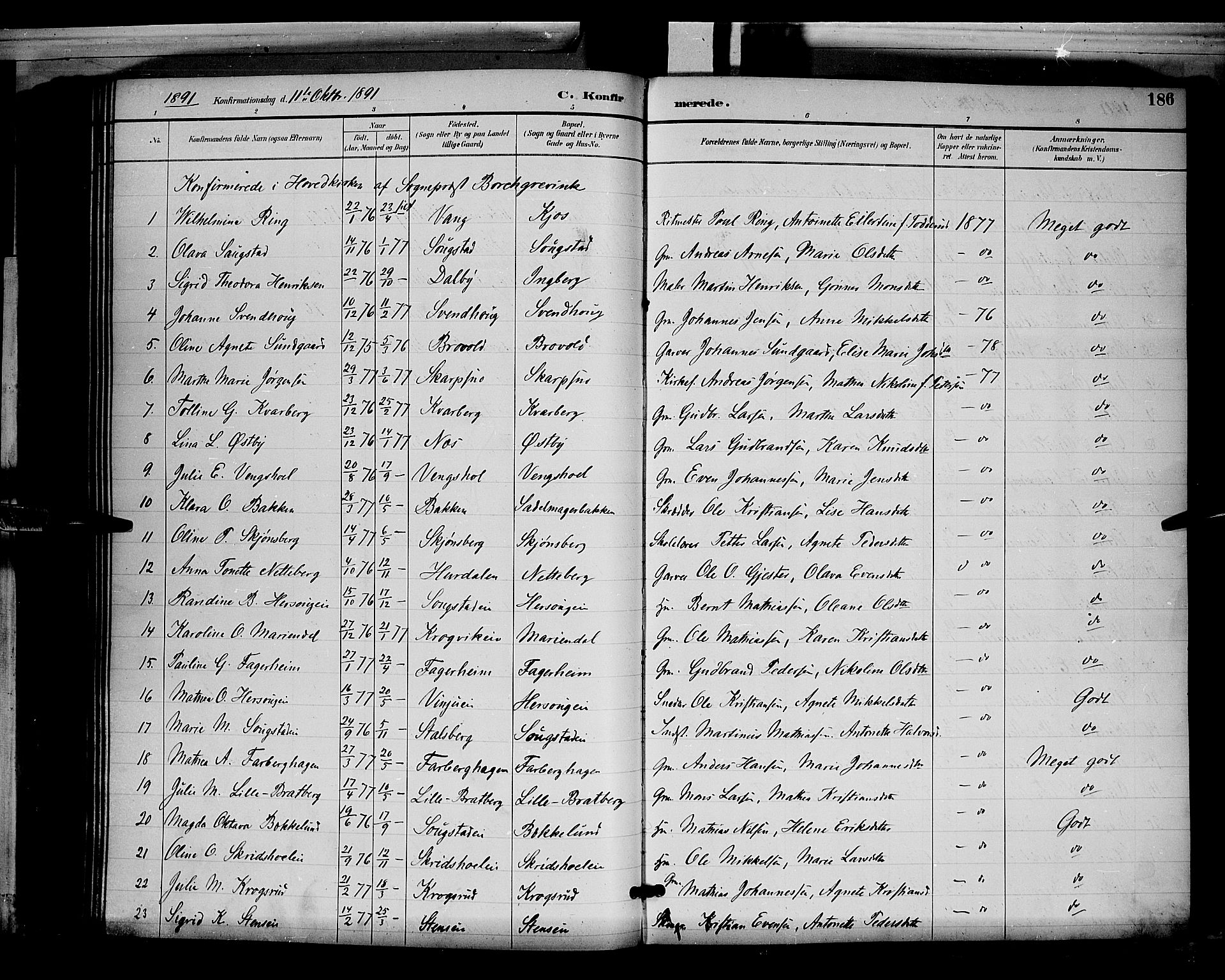 Ringsaker prestekontor, SAH/PREST-014/L/La/L0012: Parish register (copy) no. 12, 1891-1902, p. 186