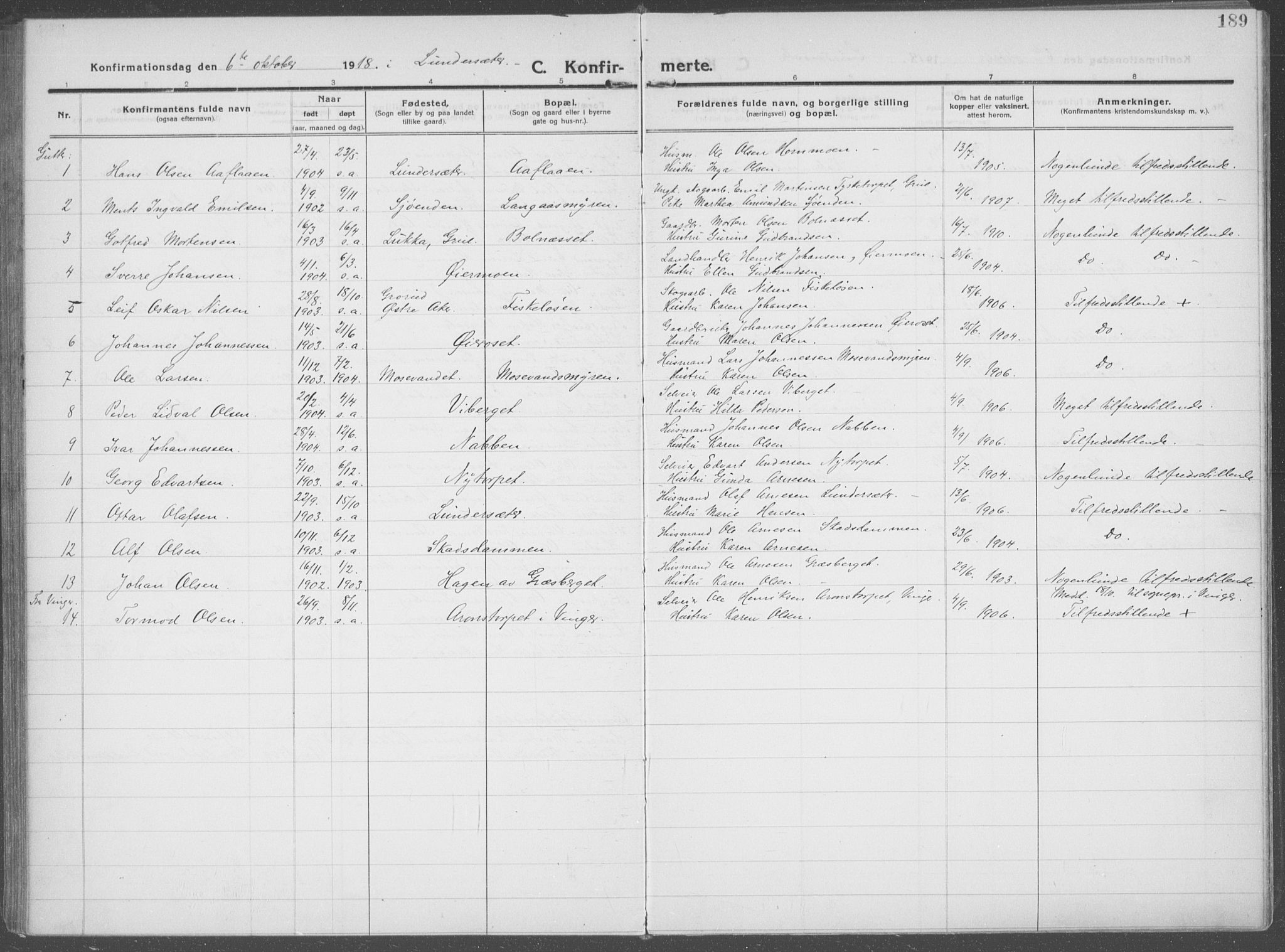 Brandval prestekontor, AV/SAH-PREST-034/H/Ha/Haa/L0004: Parish register (official) no. 4, 1910-1924, p. 189