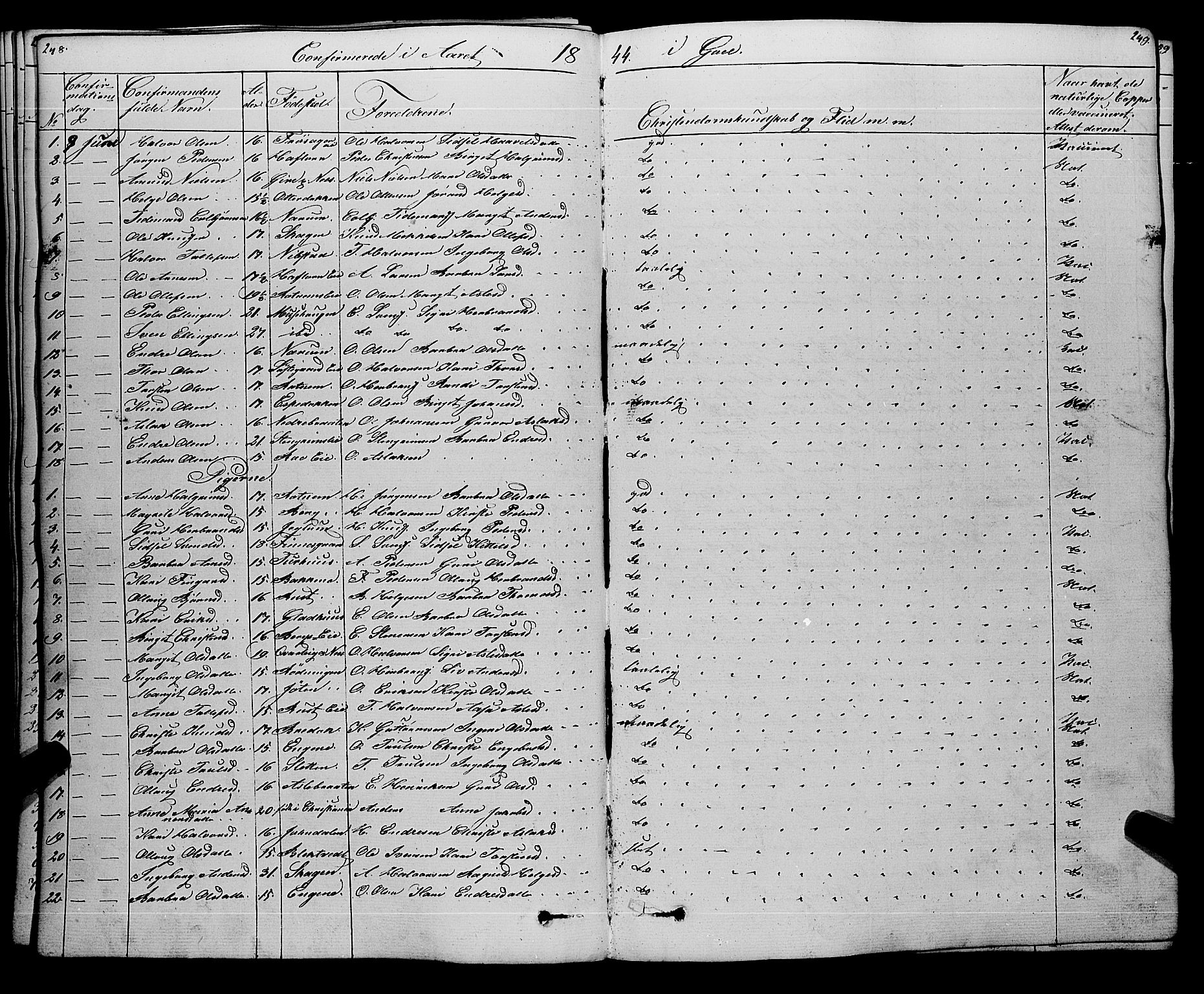 Gol kirkebøker, SAKO/A-226/F/Fa/L0002: Parish register (official) no. I 2, 1837-1863, p. 248-249
