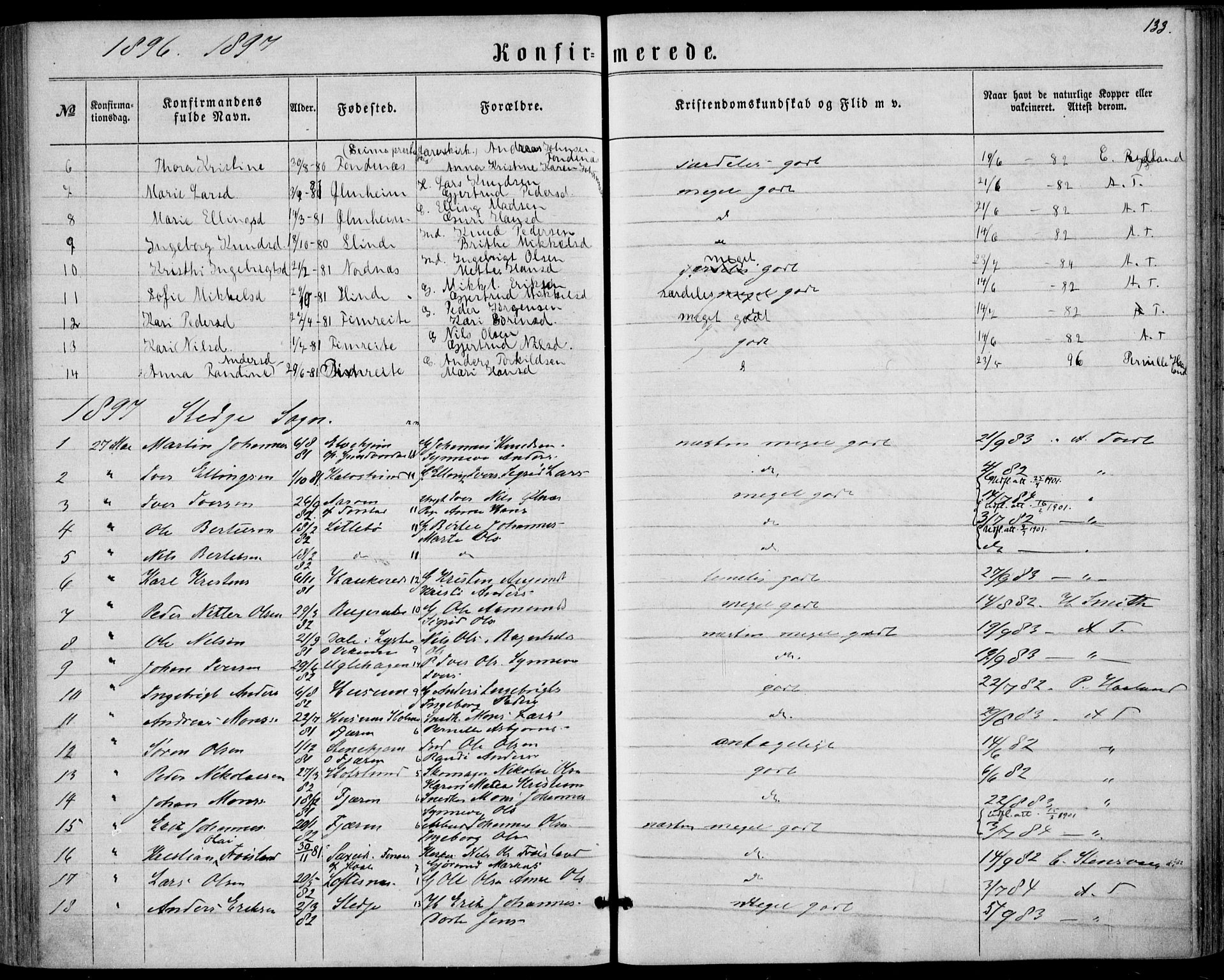 Sogndal sokneprestembete, SAB/A-81301/H/Haa/Haaa/L0015: Parish register (official) no. A 15, 1871-1904, p. 133