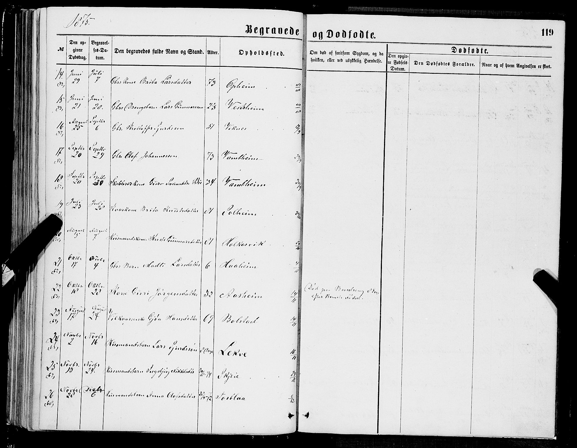 Ulvik sokneprestembete, SAB/A-78801/H/Hab: Parish register (copy) no. A 2, 1869-1882, p. 119
