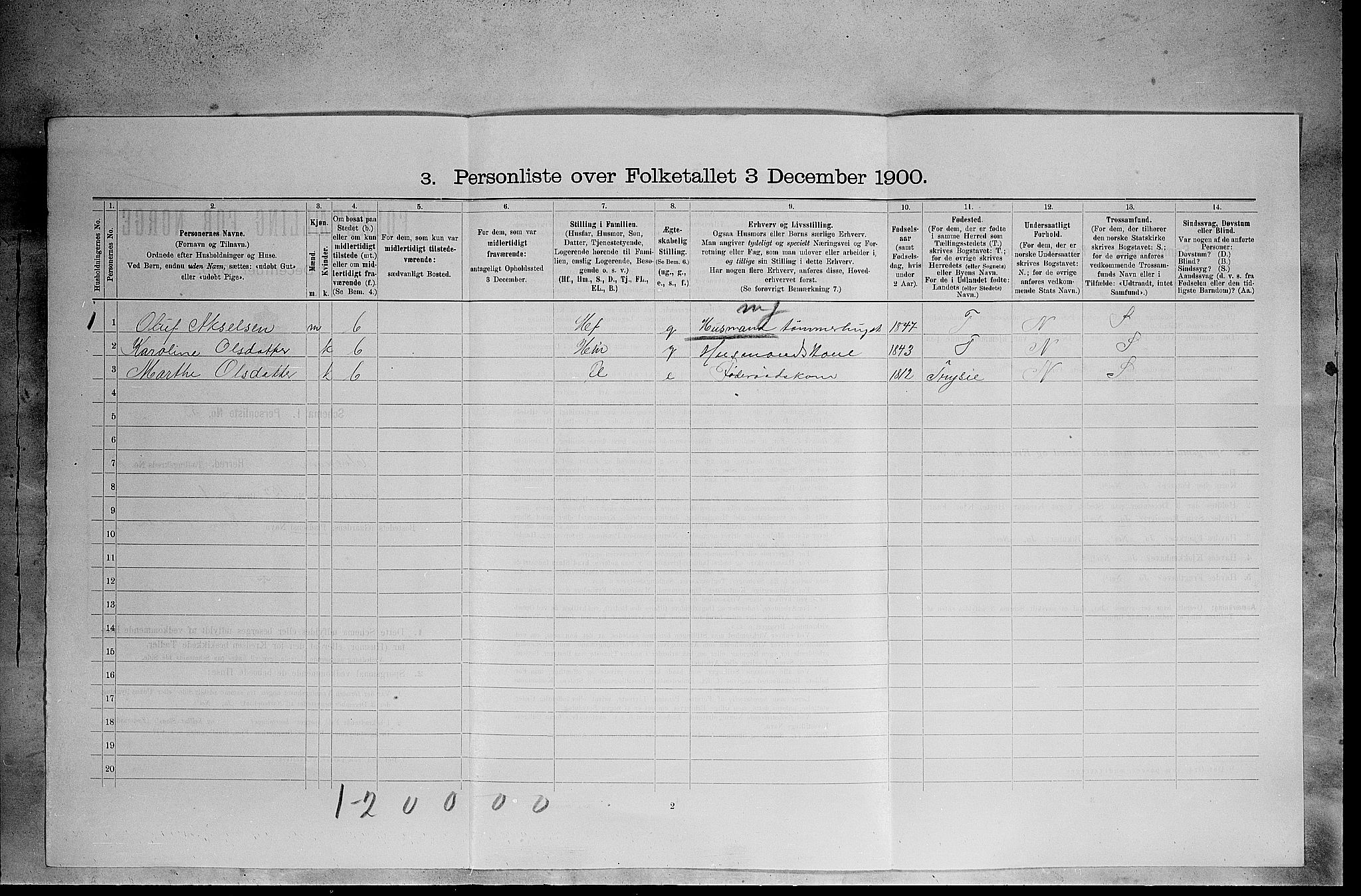 SAH, 1900 census for Elverum, 1900, p. 2491