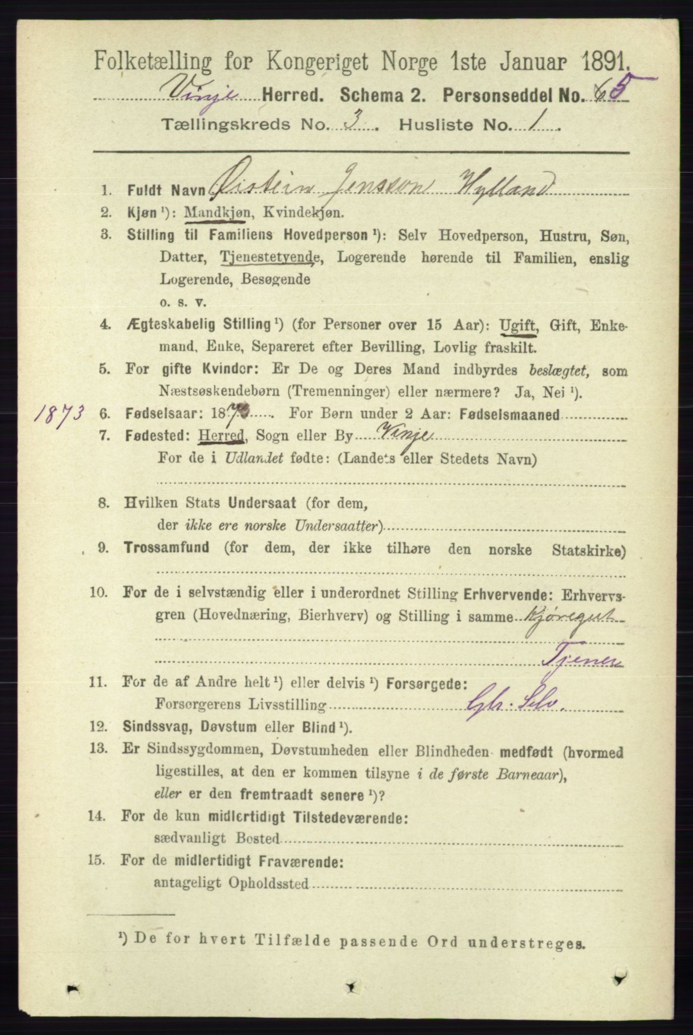 RA, 1891 census for 0834 Vinje, 1891, p. 648