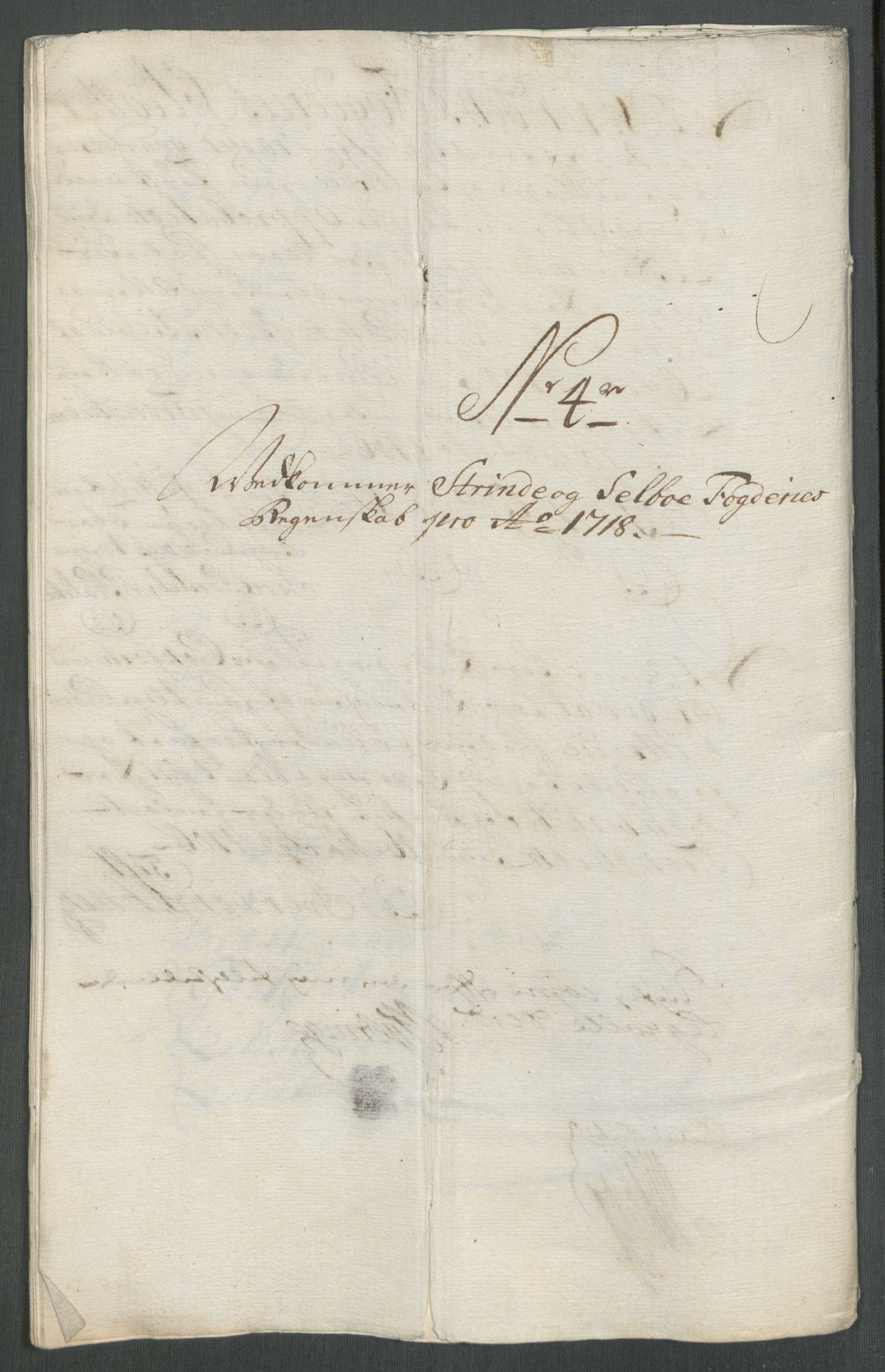 Rentekammeret inntil 1814, Reviderte regnskaper, Fogderegnskap, AV/RA-EA-4092/R61/L4116: Fogderegnskap Strinda og Selbu, 1717-1718, p. 375