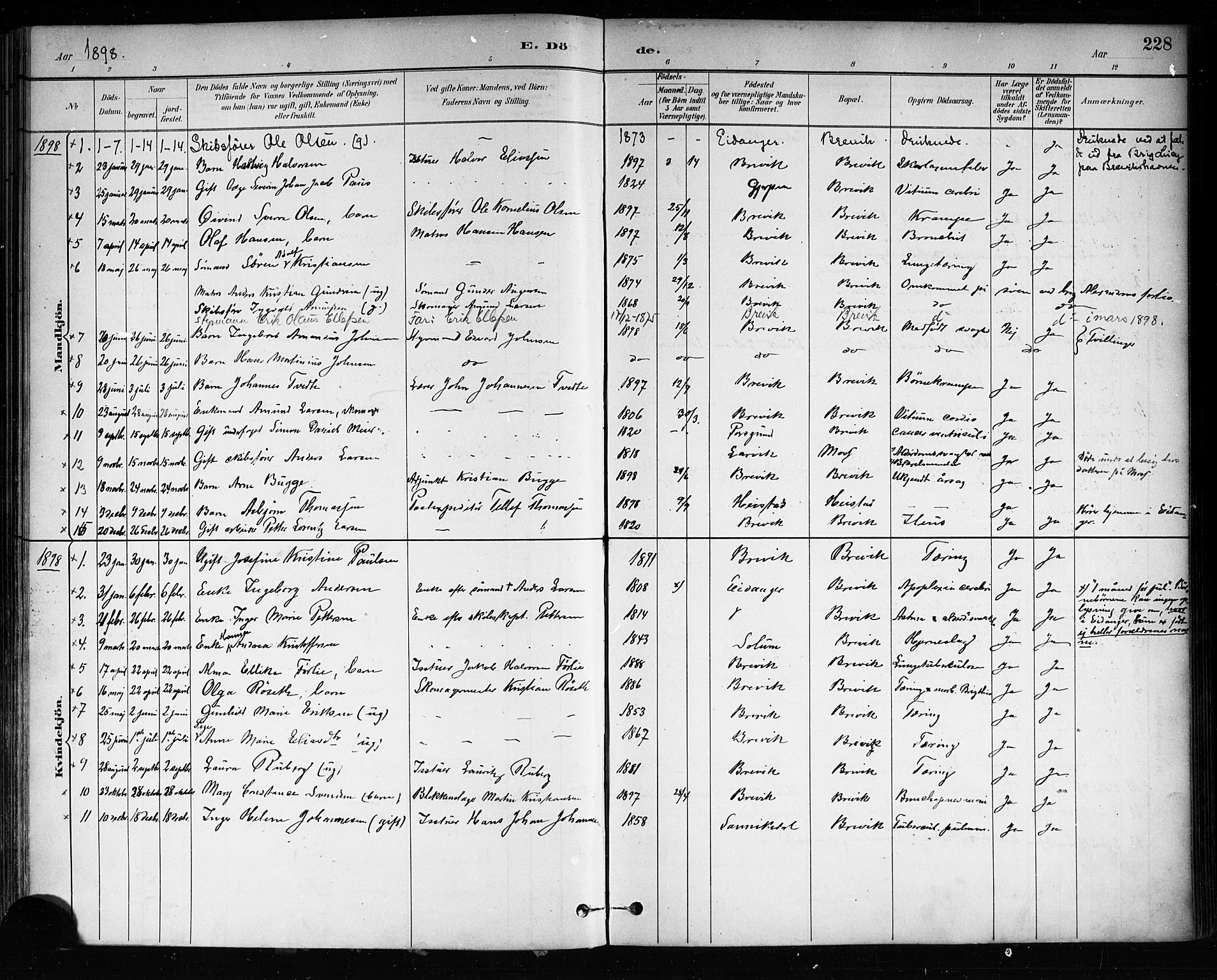 Brevik kirkebøker, SAKO/A-255/F/Fa/L0007: Parish register (official) no. 7, 1882-1900, p. 228
