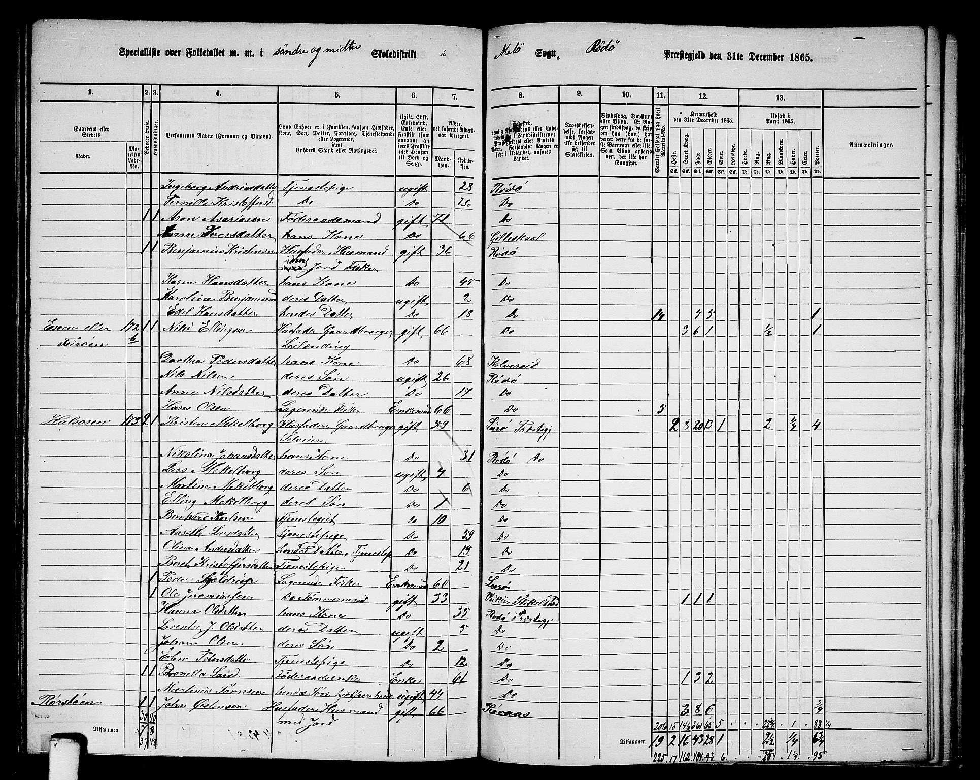 RA, 1865 census for Rødøy, 1865, p. 114