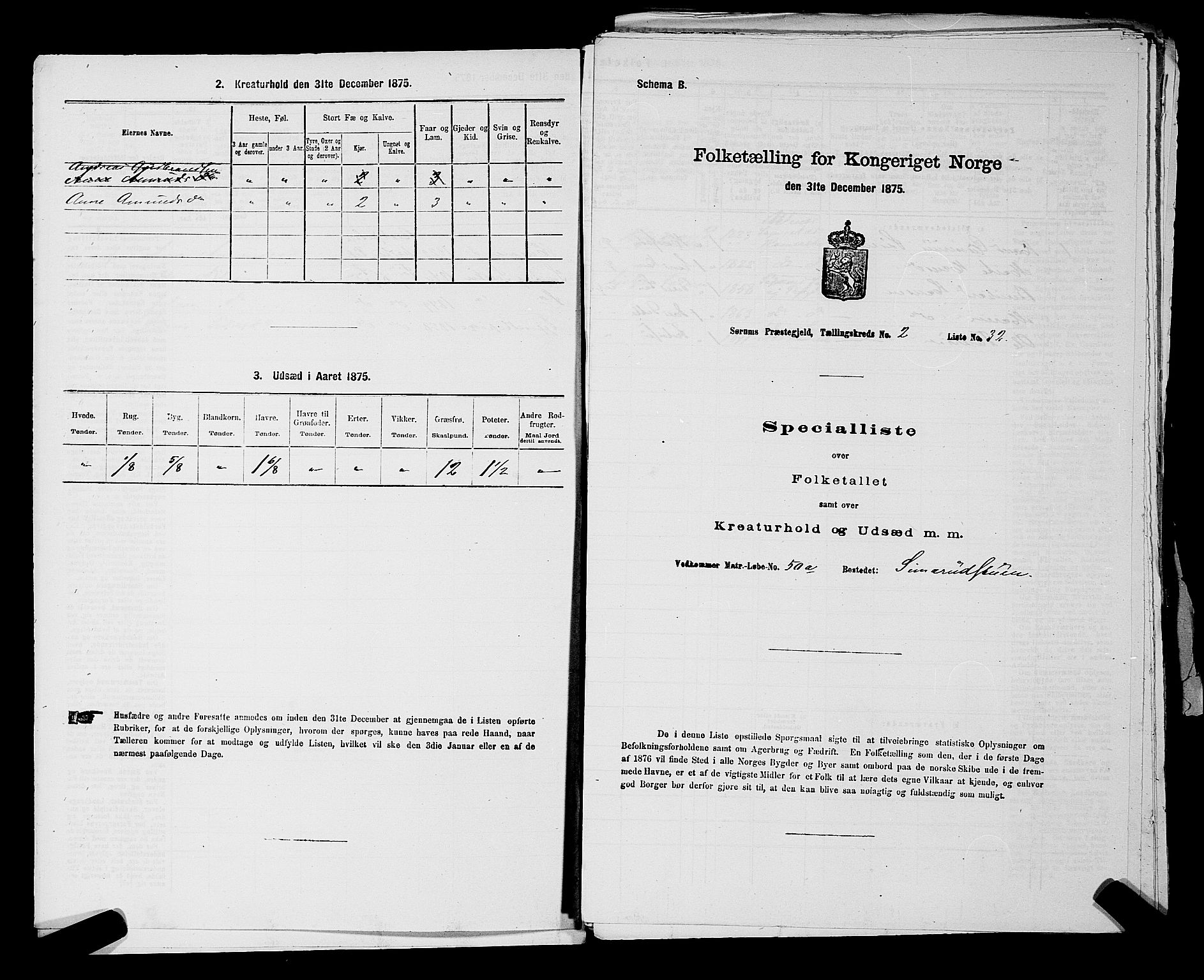 RA, 1875 census for 0226P Sørum, 1875, p. 207