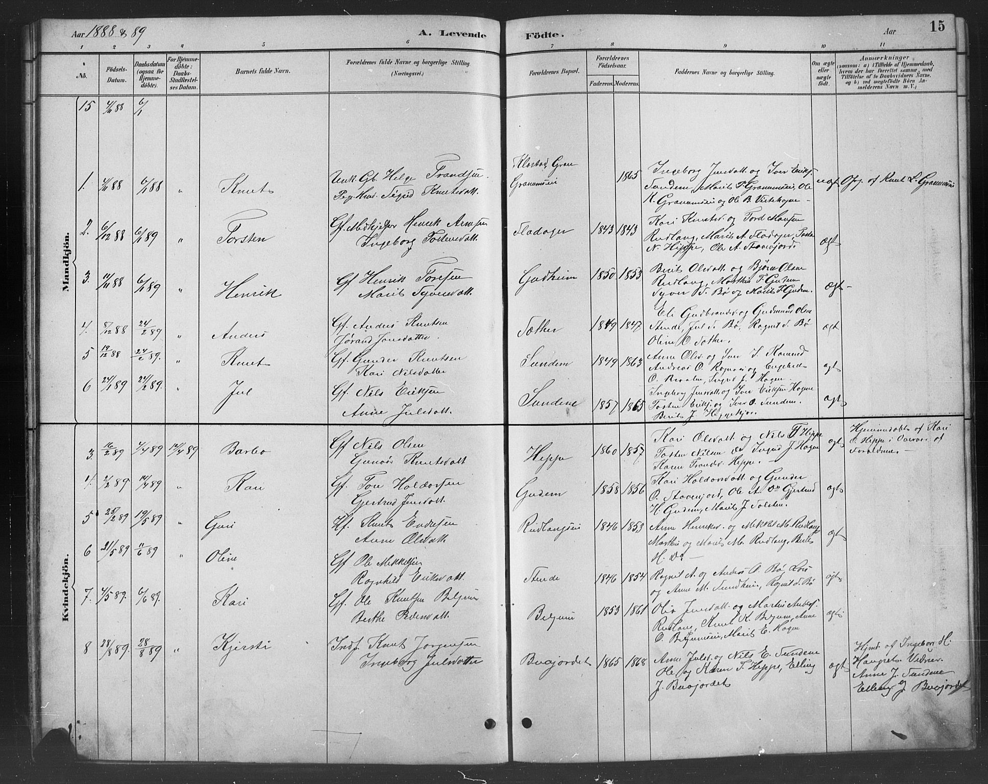 Nord-Aurdal prestekontor, AV/SAH-PREST-132/H/Ha/Hab/L0008: Parish register (copy) no. 8, 1883-1916, p. 15