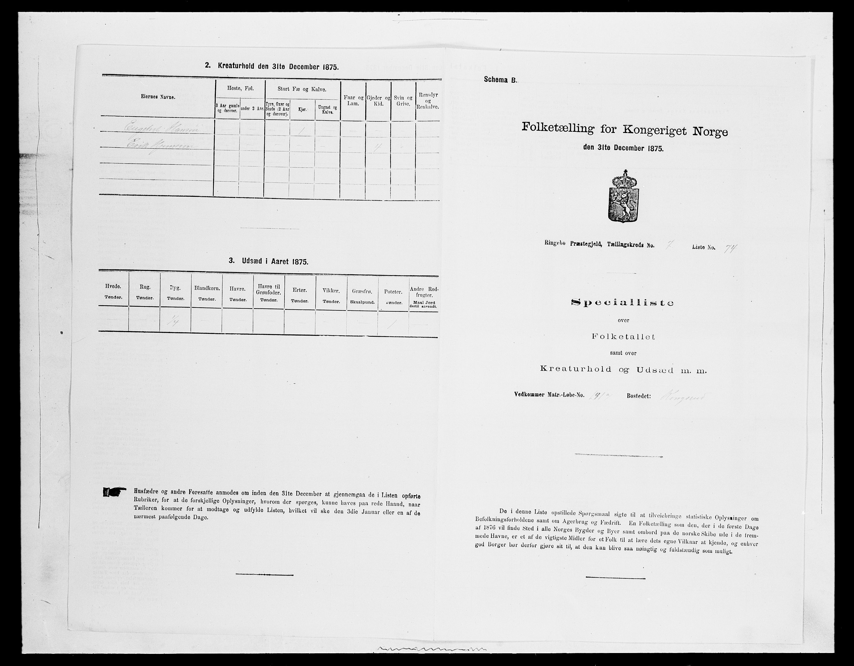 SAH, 1875 census for 0520P Ringebu, 1875, p. 1155