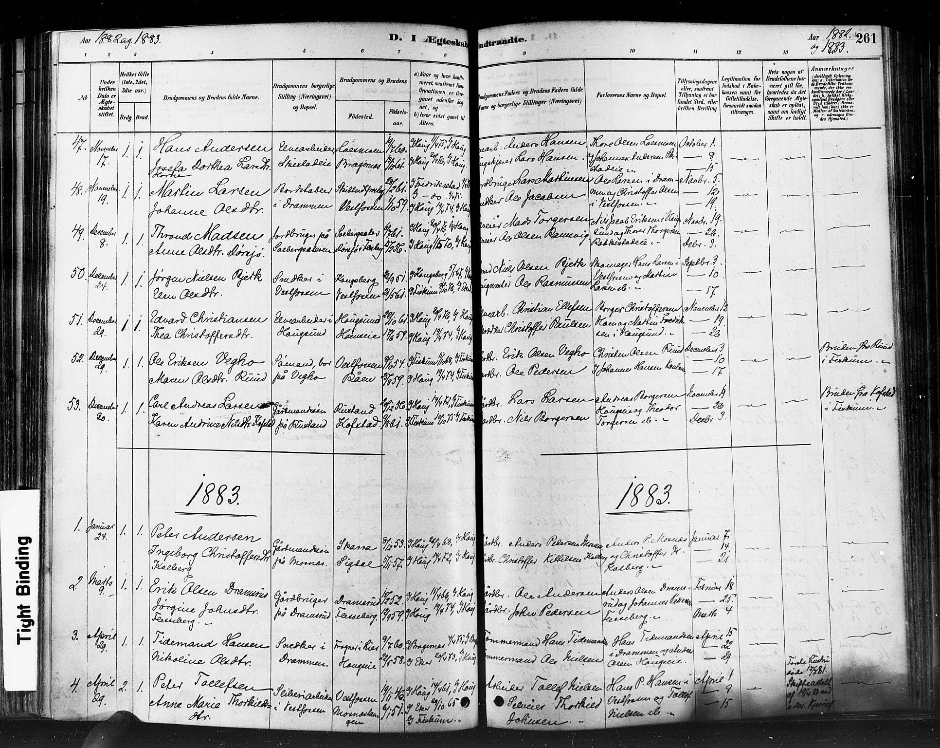 Eiker kirkebøker, SAKO/A-4/F/Fb/L0001: Parish register (official) no. II 1, 1878-1888, p. 261