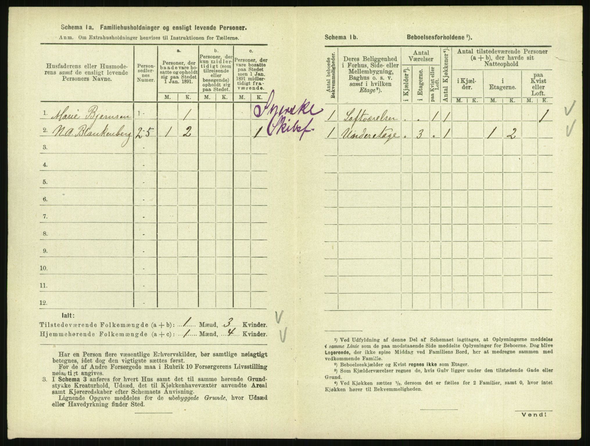 RA, 1891 census for 0801 Kragerø, 1891, p. 301