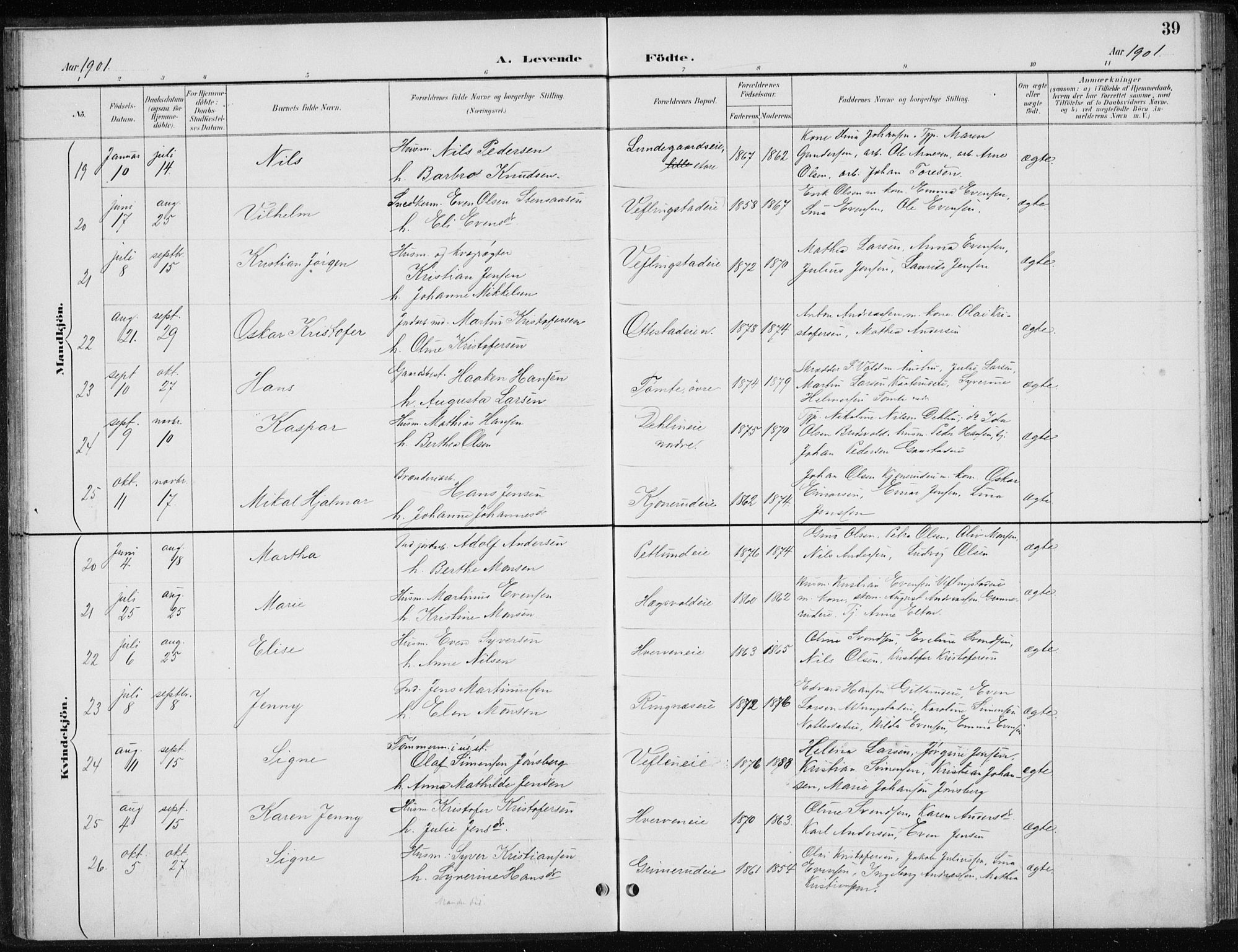 Stange prestekontor, AV/SAH-PREST-002/L/L0010: Parish register (copy) no. 10, 1894-1905, p. 39