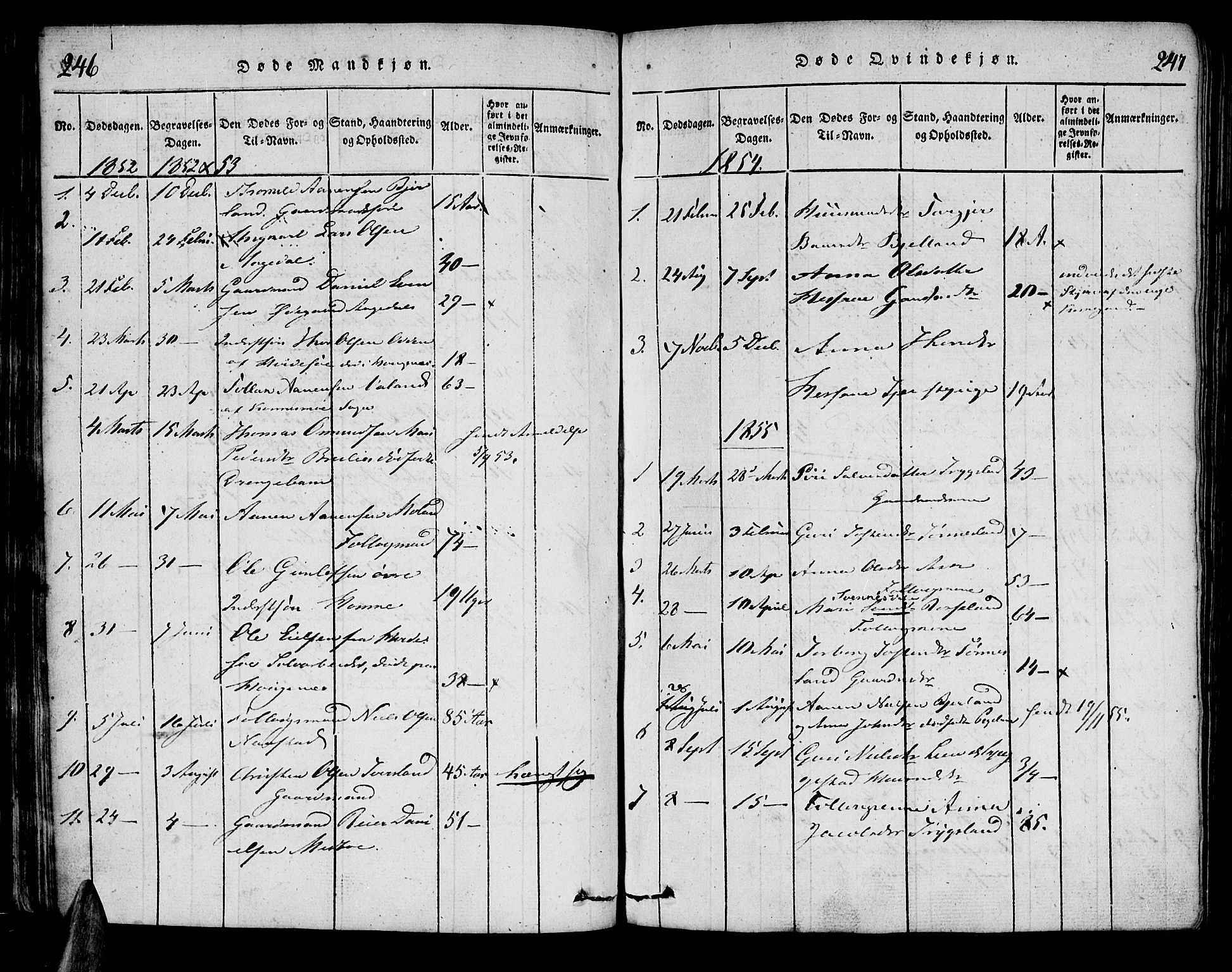 Bjelland sokneprestkontor, AV/SAK-1111-0005/F/Fa/Faa/L0002: Parish register (official) no. A 2, 1816-1866, p. 246-247