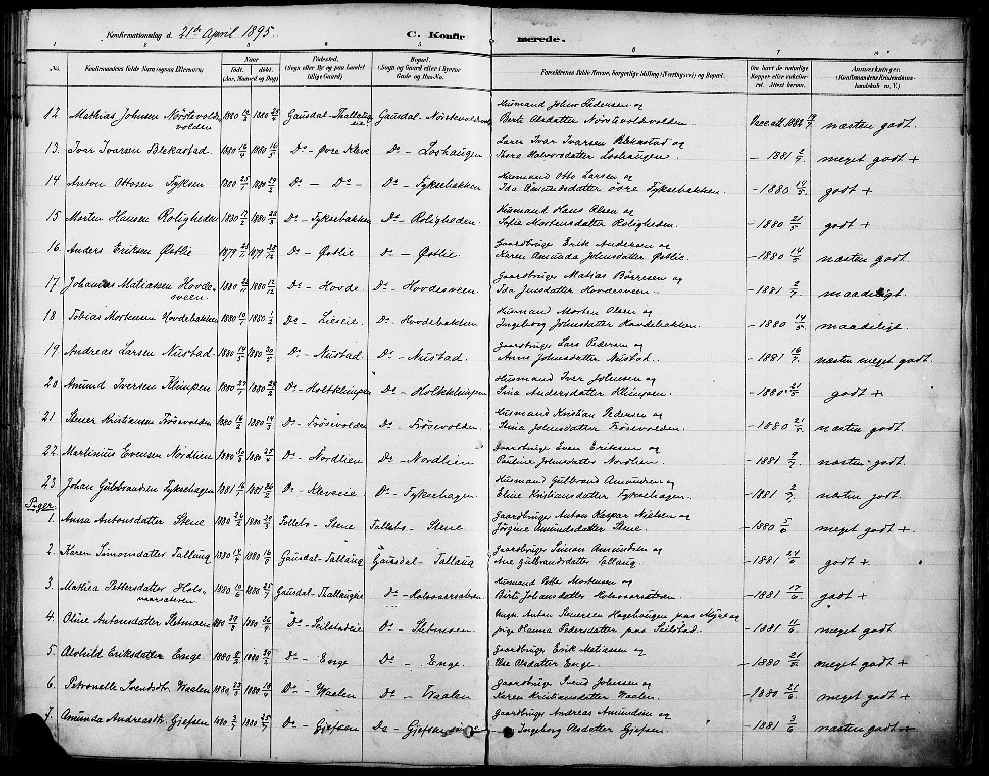 Østre Gausdal prestekontor, AV/SAH-PREST-092/H/Ha/Haa/L0002: Parish register (official) no. 2, 1887-1897, p. 96g