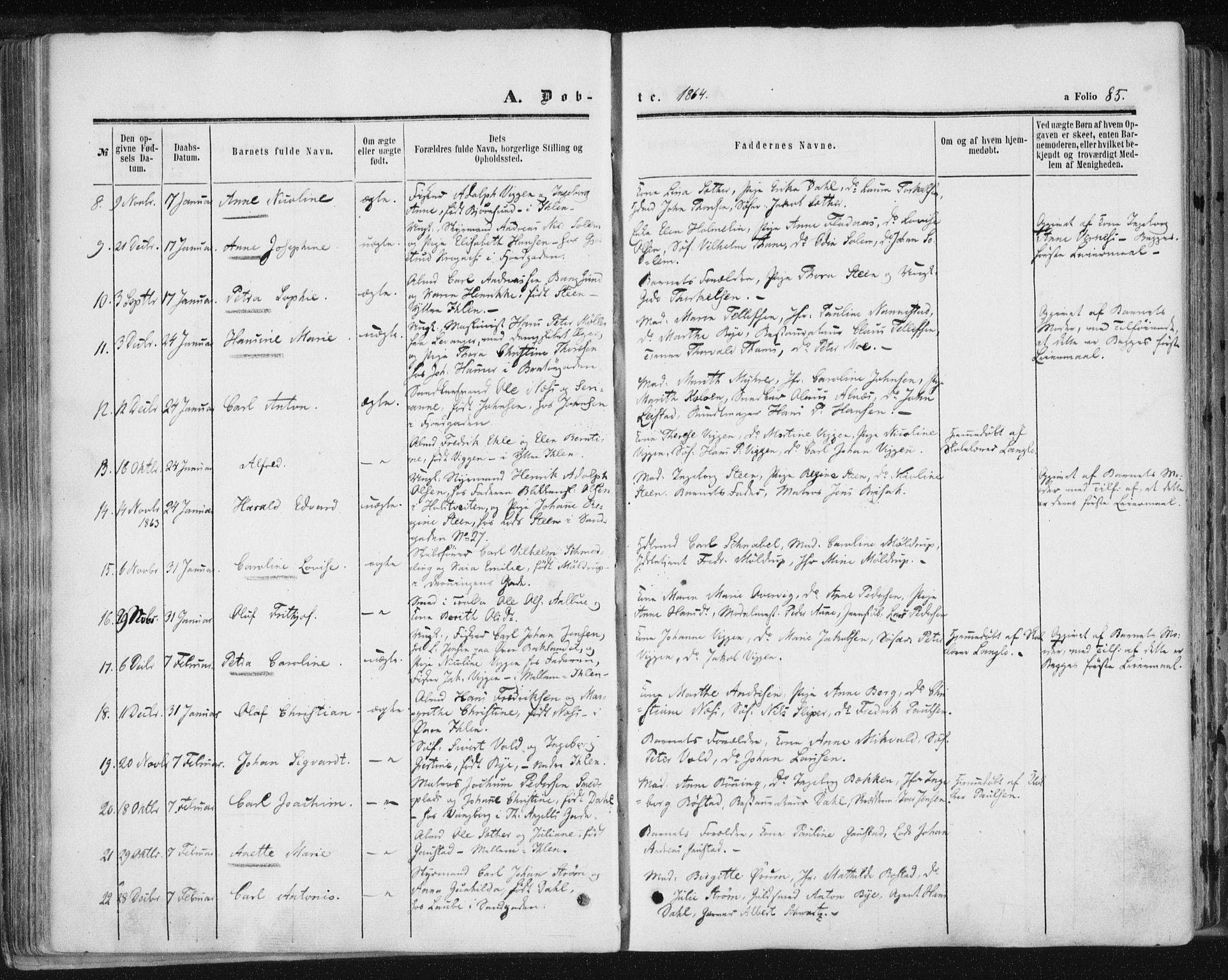 Ministerialprotokoller, klokkerbøker og fødselsregistre - Sør-Trøndelag, SAT/A-1456/602/L0115: Parish register (official) no. 602A13, 1860-1872, p. 85
