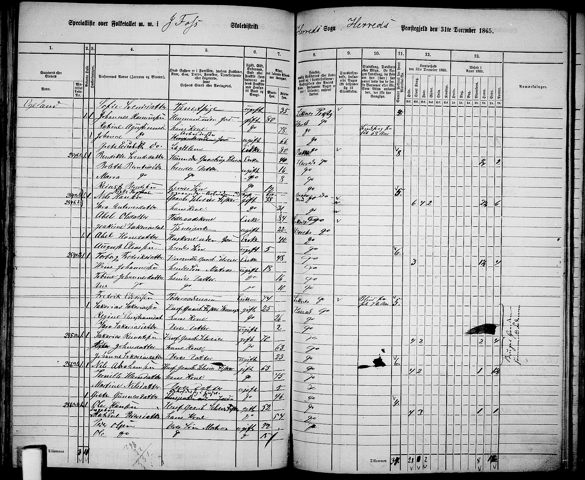 RA, 1865 census for Herad, 1865, p. 31