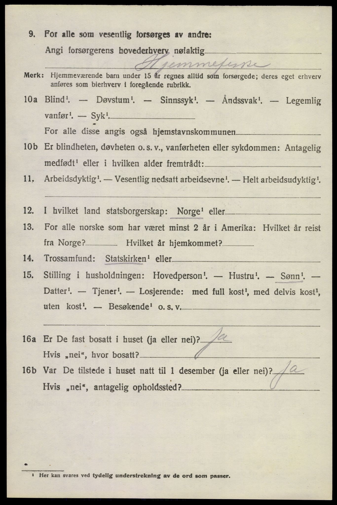 SAKO, 1920 census for Brunlanes, 1920, p. 9748