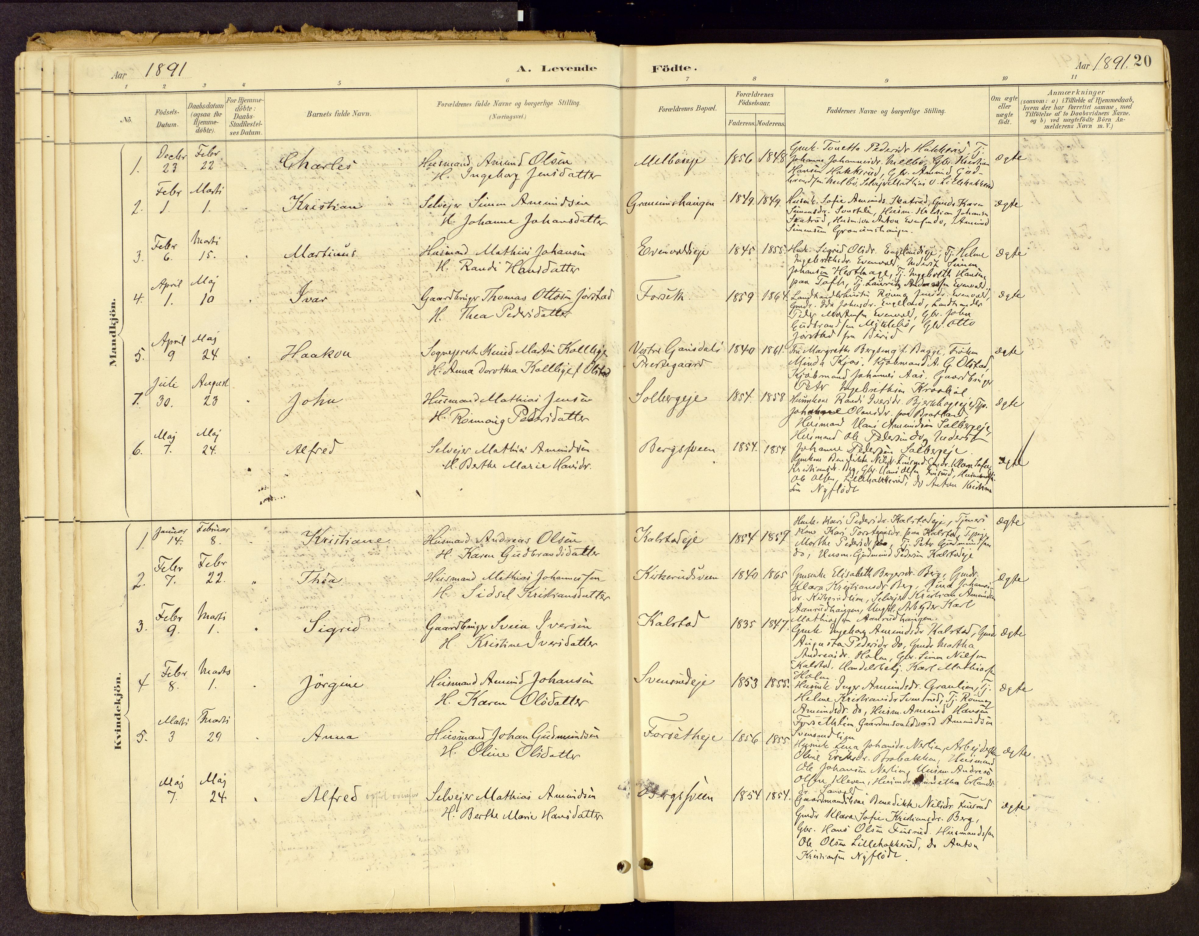 Vestre Gausdal prestekontor, SAH/PREST-094/H/Ha/Haa/L0001: Parish register (official) no. 1, 1887-1914, p. 20