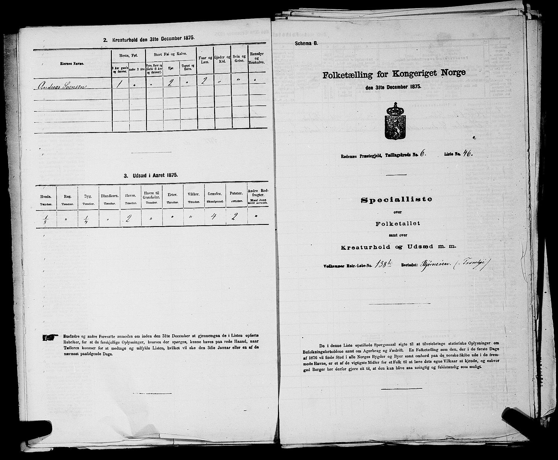 RA, 1875 census for 0120P Rødenes, 1875, p. 806