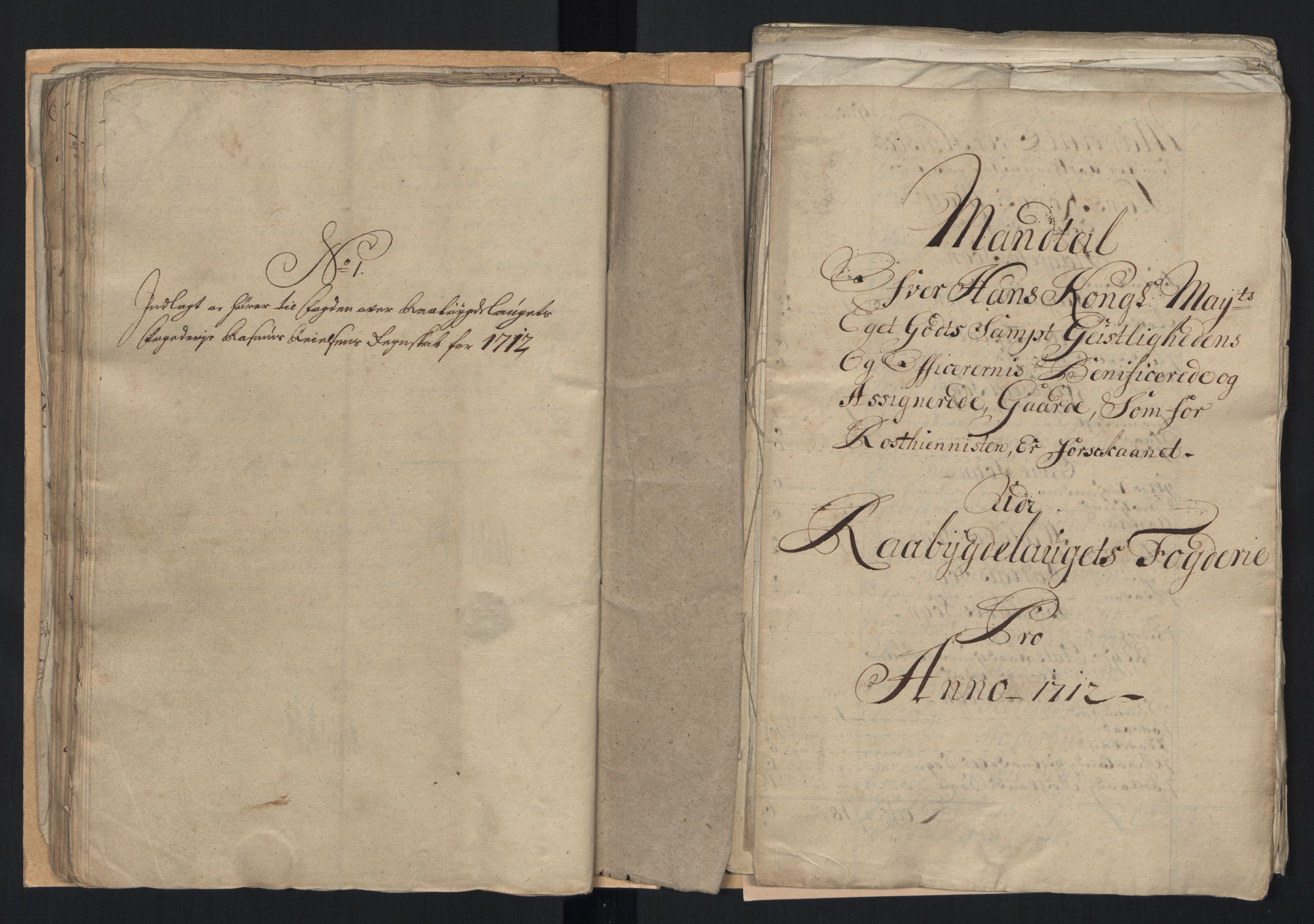 Rentekammeret inntil 1814, Reviderte regnskaper, Fogderegnskap, AV/RA-EA-4092/R40/L2450: Fogderegnskap Råbyggelag, 1712-1713, p. 118