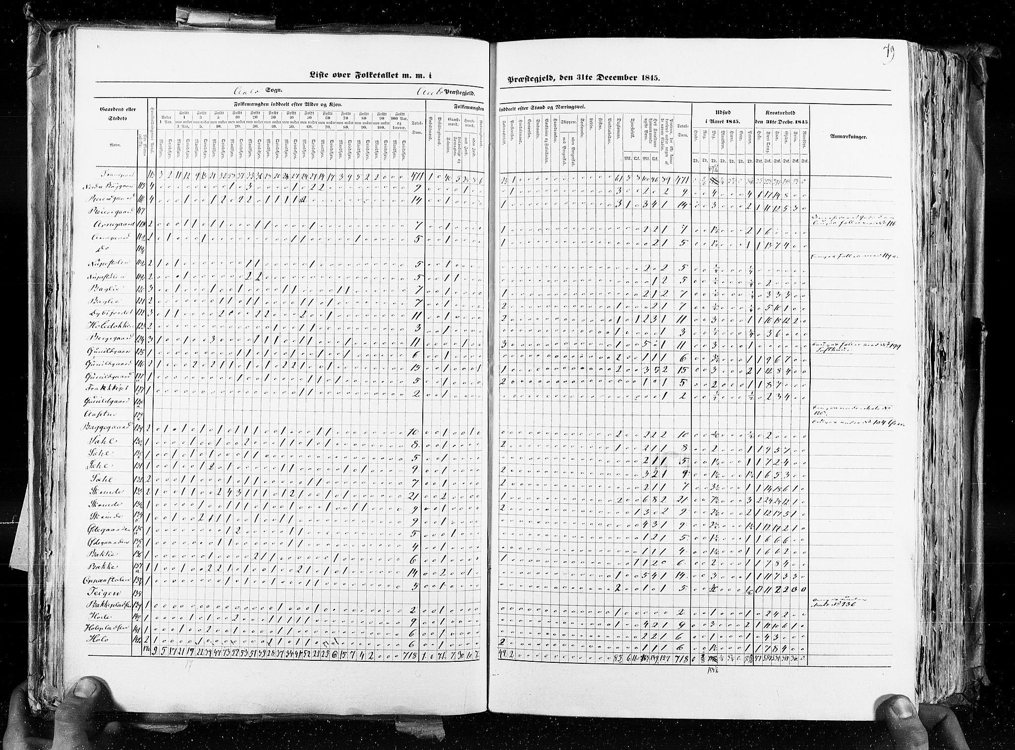 RA, Census 1845, vol. 4: Buskerud amt og Jarlsberg og Larvik amt, 1845, p. 79