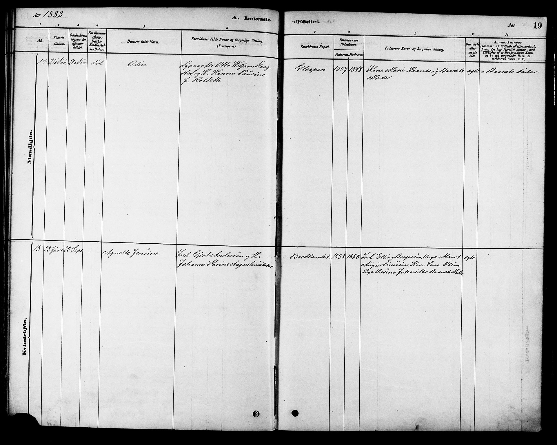 Ministerialprotokoller, klokkerbøker og fødselsregistre - Nordland, SAT/A-1459/886/L1219: Parish register (official) no. 886A01, 1878-1892, p. 19