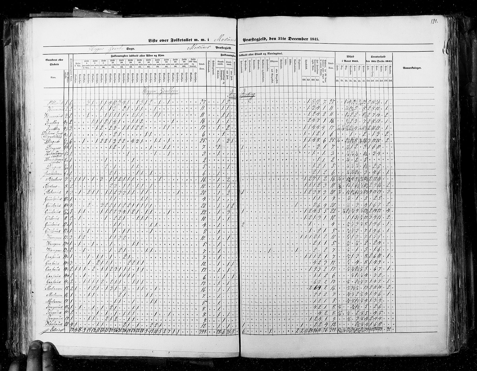 RA, Census 1845, vol. 4: Buskerud amt og Jarlsberg og Larvik amt, 1845, p. 181