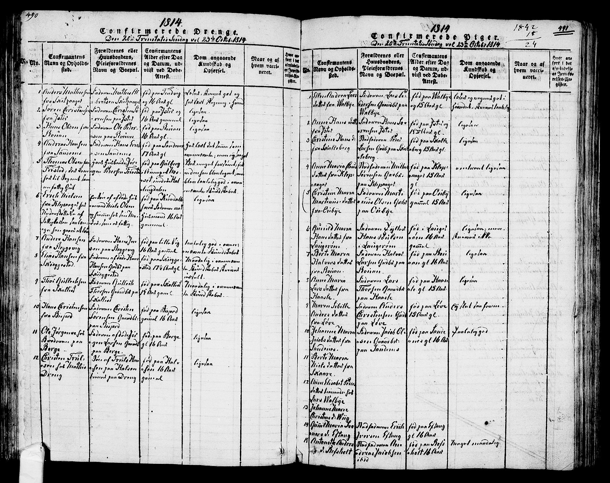 Tjølling kirkebøker, AV/SAKO-A-60/F/Fa/L0005: Parish register (official) no. 5, 1814-1836, p. 490-491