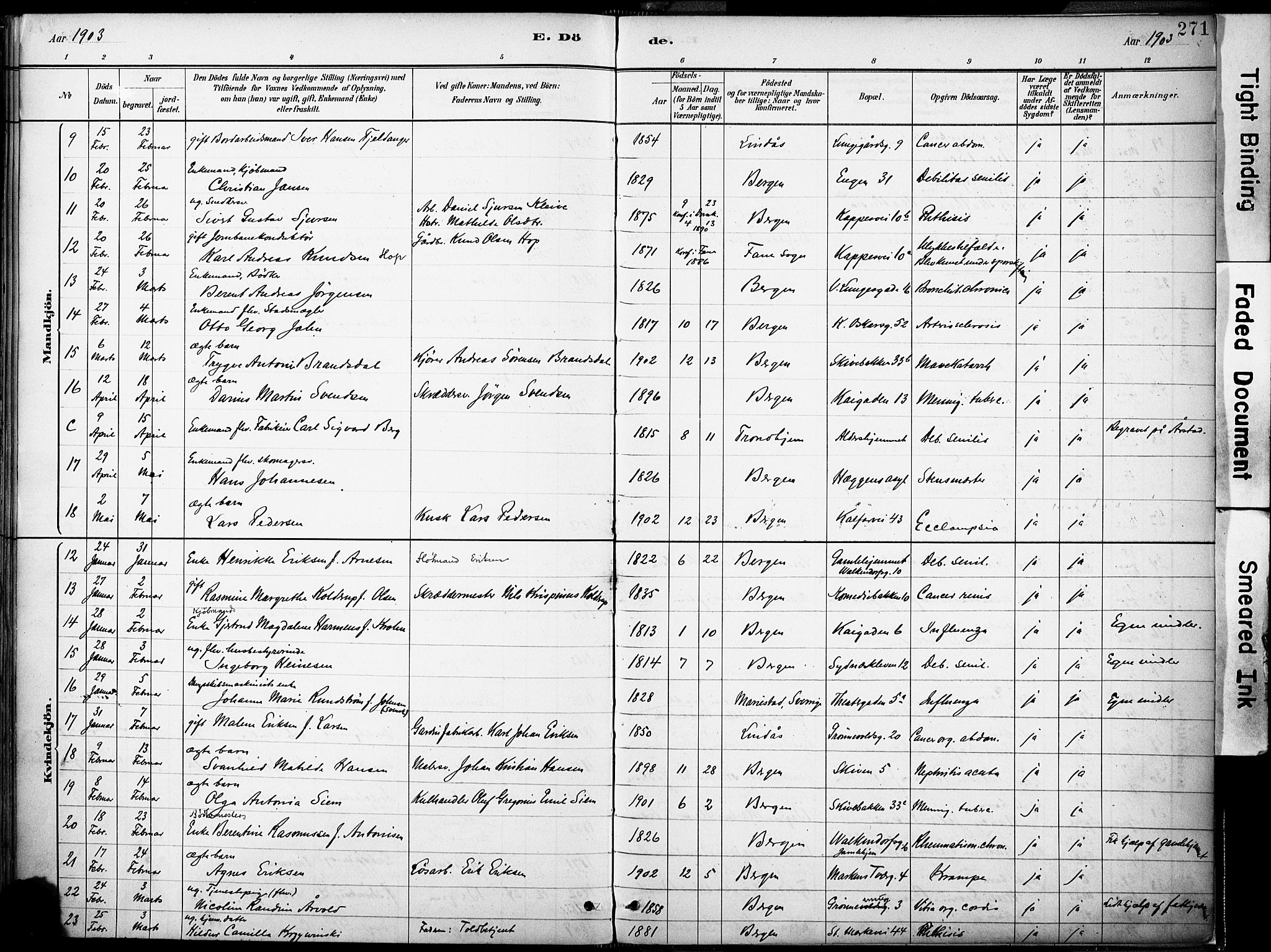 Domkirken sokneprestembete, AV/SAB-A-74801/H/Haa/L0043: Parish register (official) no. E 5, 1882-1904, p. 271