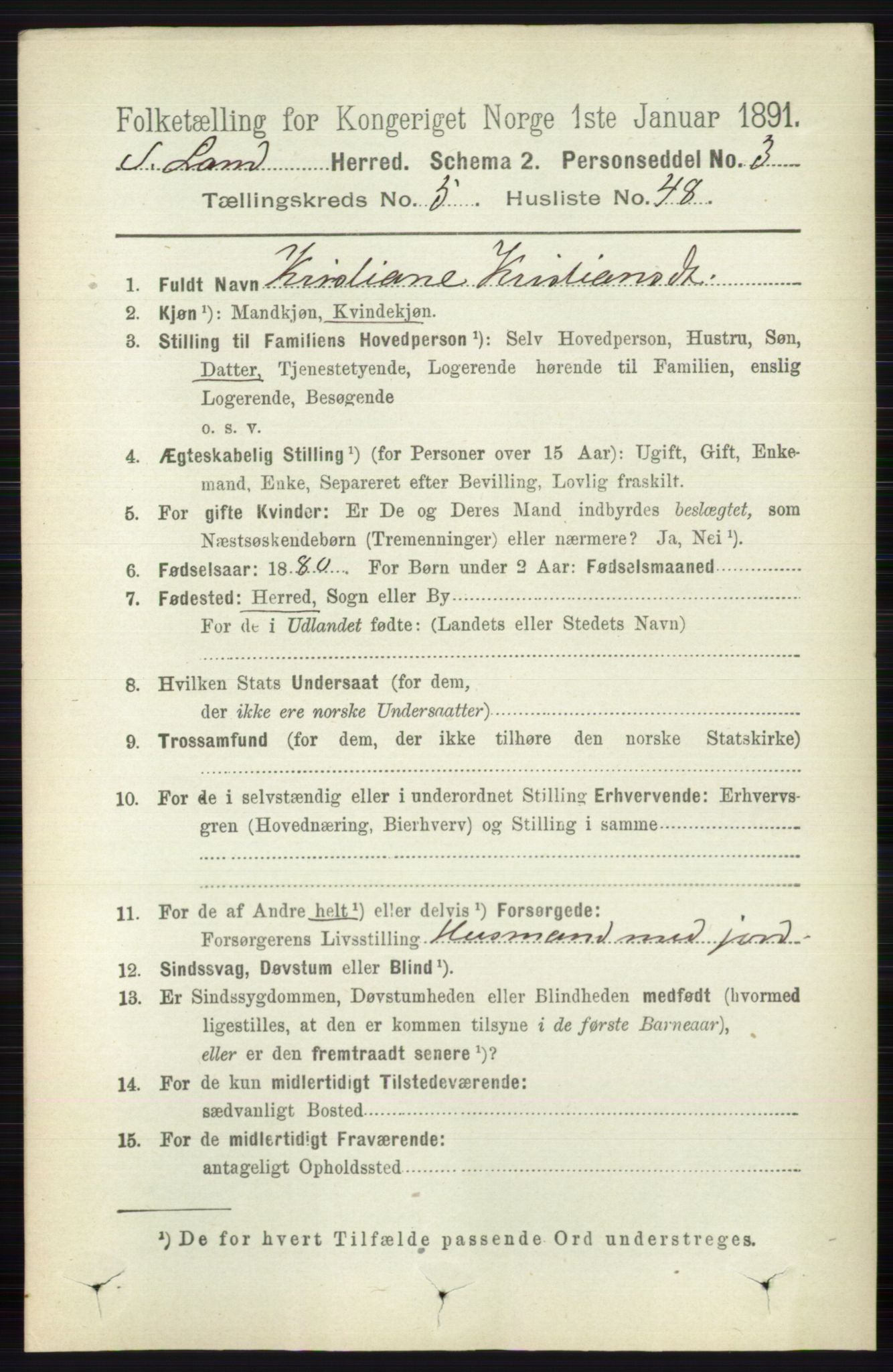 RA, 1891 census for 0536 Søndre Land, 1891, p. 5101