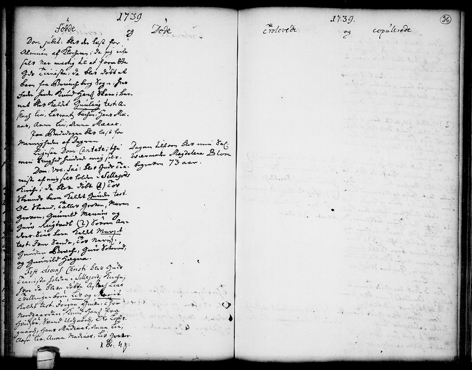 Seljord kirkebøker, SAKO/A-20/F/Fa/L0005: Parish register (official) no. I 5, 1737-1743, p. 36