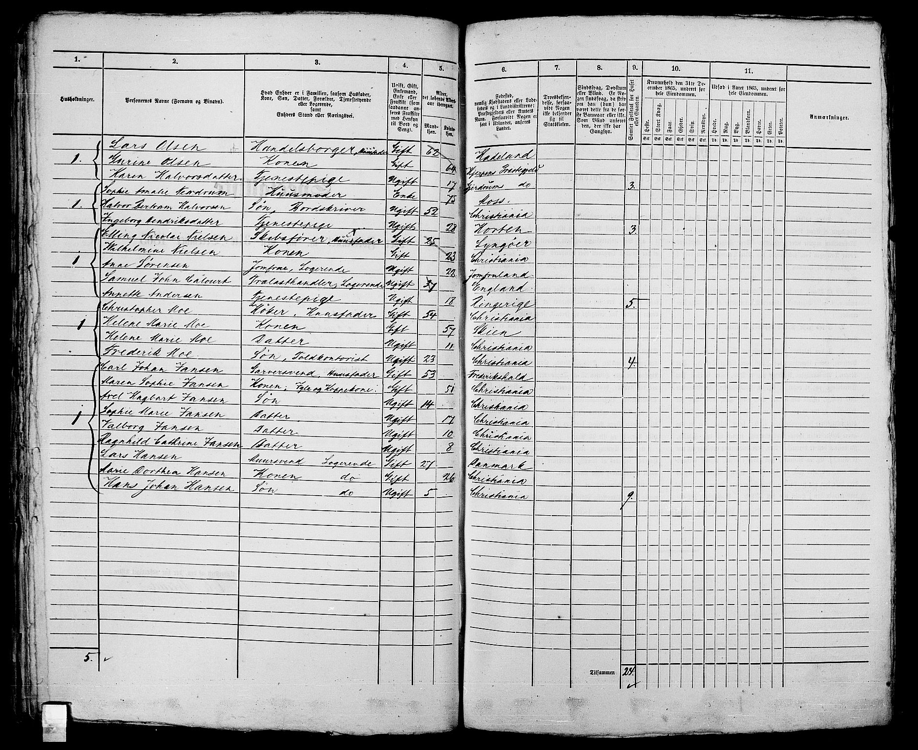 RA, 1865 census for Kristiania, 1865, p. 1255